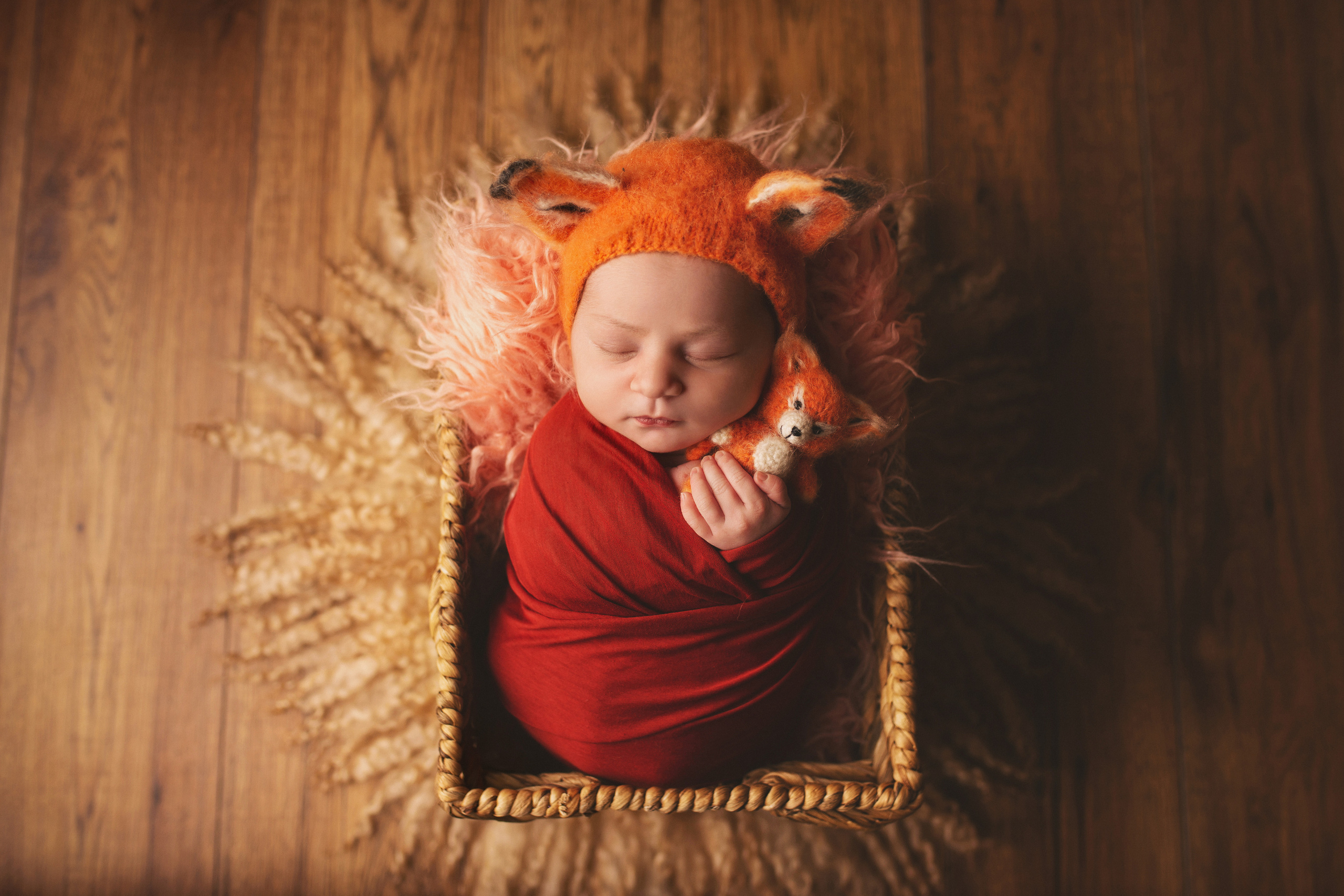 My First Year Package. A Girl. Ottawa Newborn and Baby Newborn Photographer Elena Helali