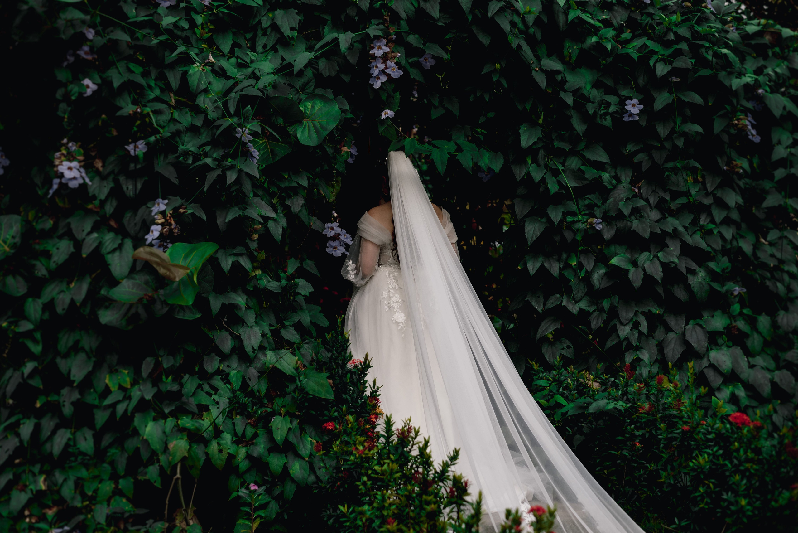 Novia de espalda con vestido blanco en vegetación verde, vista desde atrás en boda playa naturalista