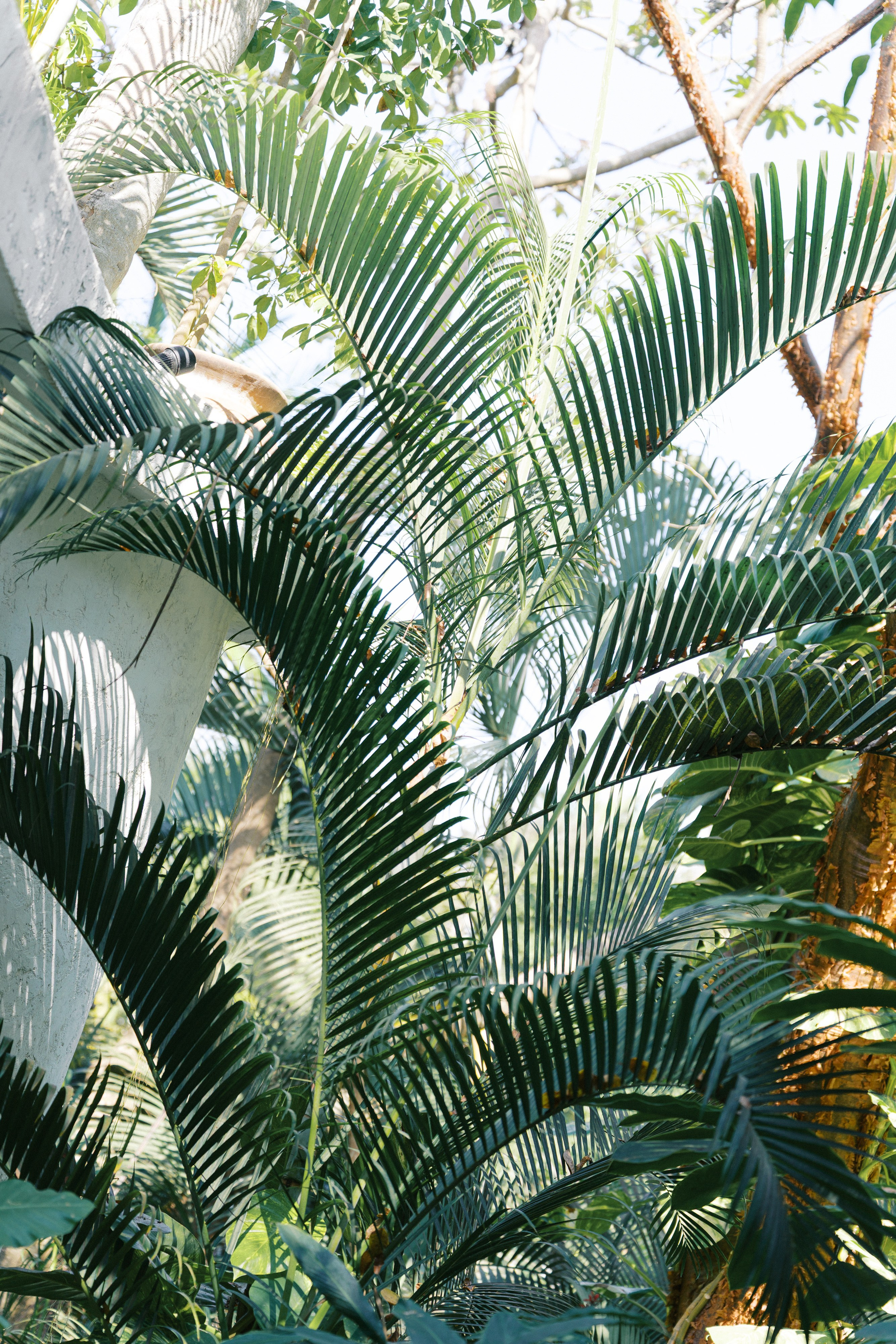 Emma & Elliot. Sayulita Wedding Photographer, Puerto Vallarta, Cabo