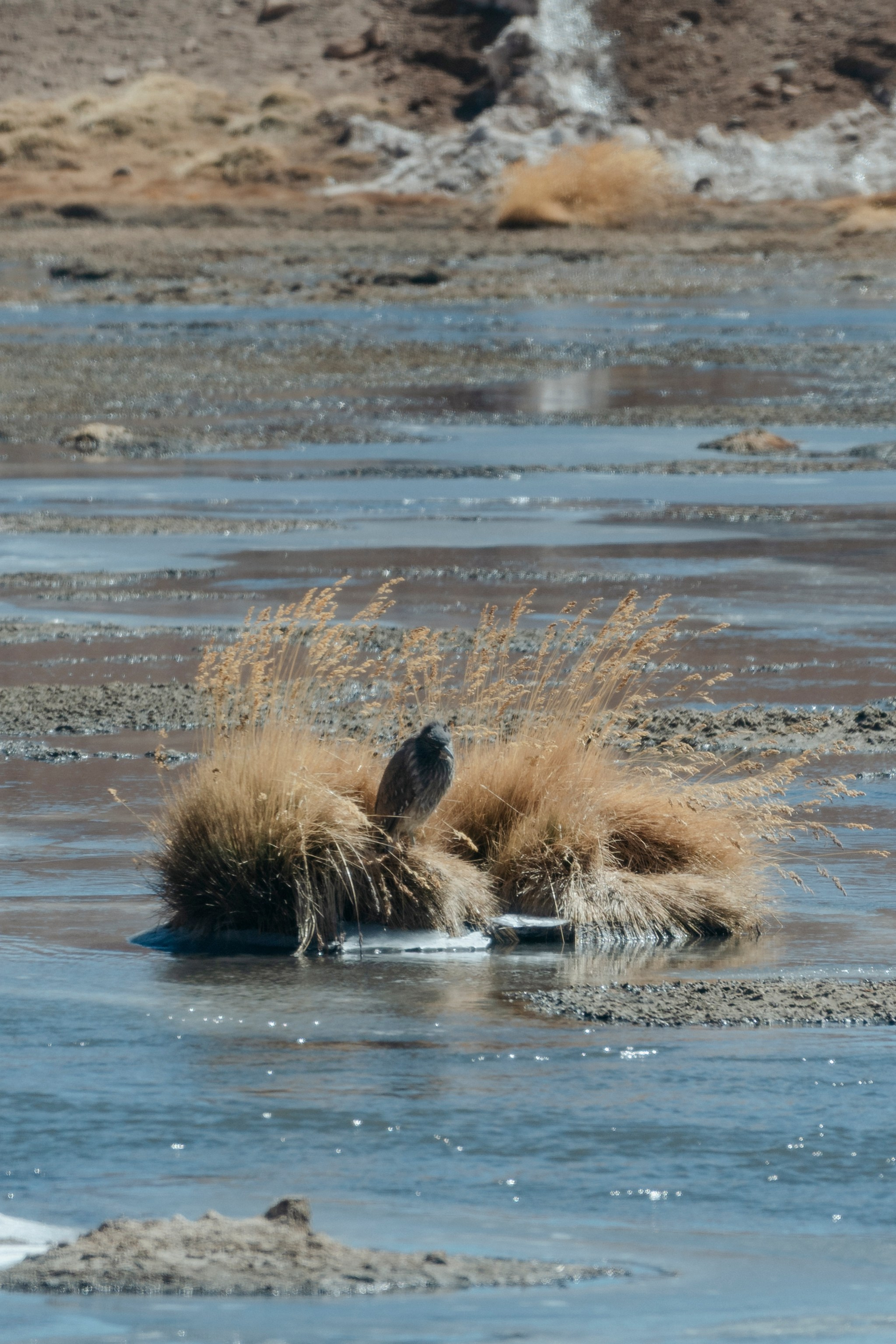Cobertura de passeio — Geyser el Tatio. Fotógrafo em San Pedro de Atacama
