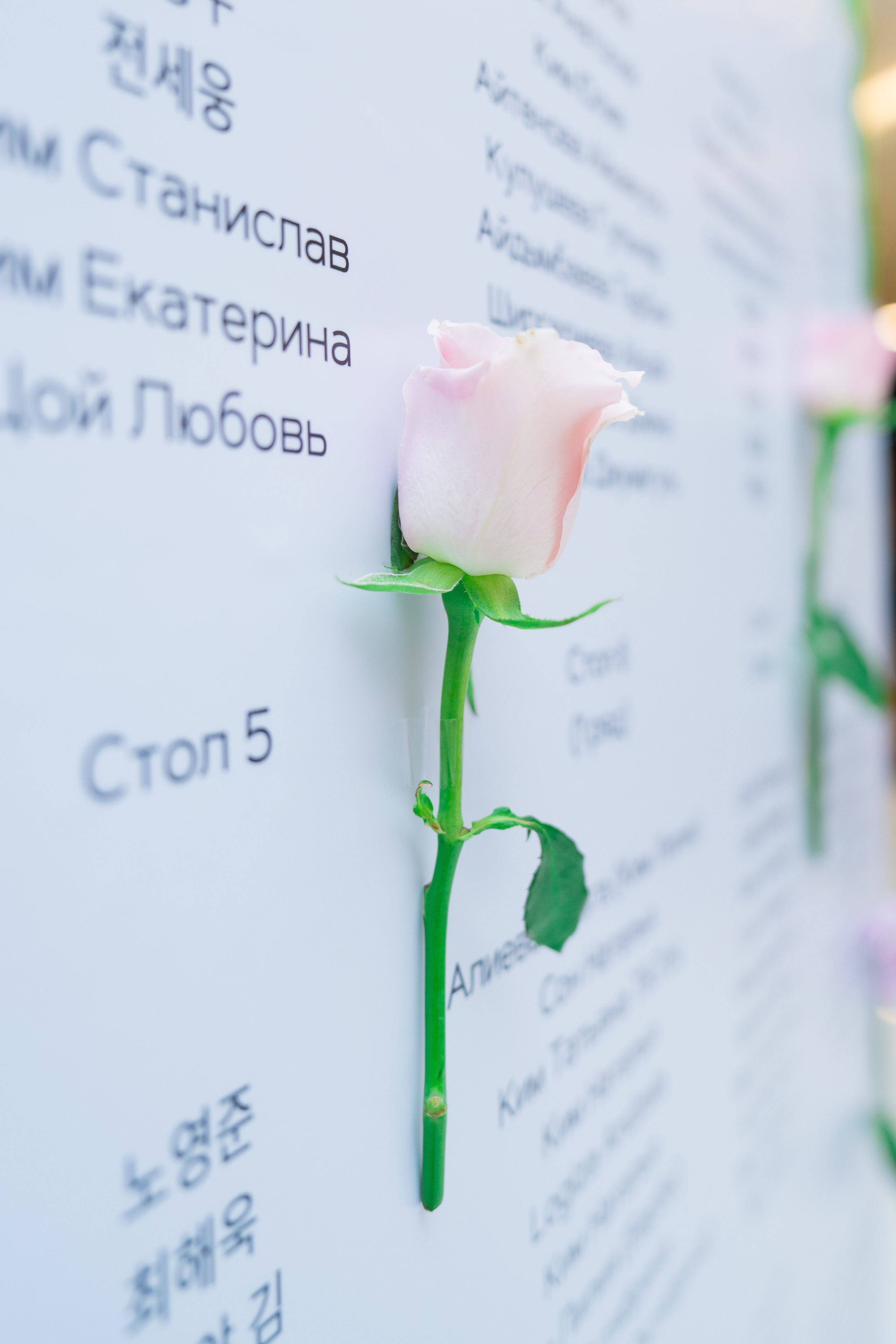NADYON. Студия декора «Нарния»