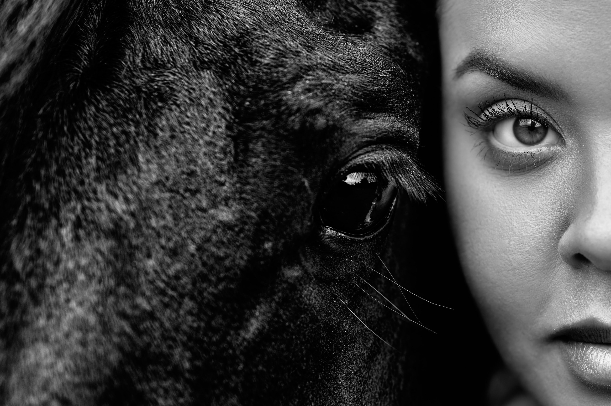Fotos con caballos para Quiceaños. Wedding Photography & Videography by ZZ Hendrick | Capturing Your Love Story in Colombia & USA