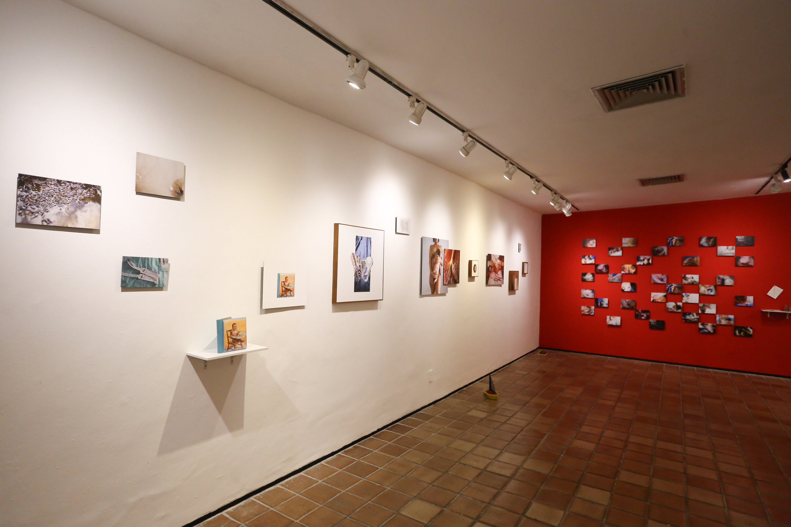 2023 — Non-Reactive. Curator Maíra C. Gamarra