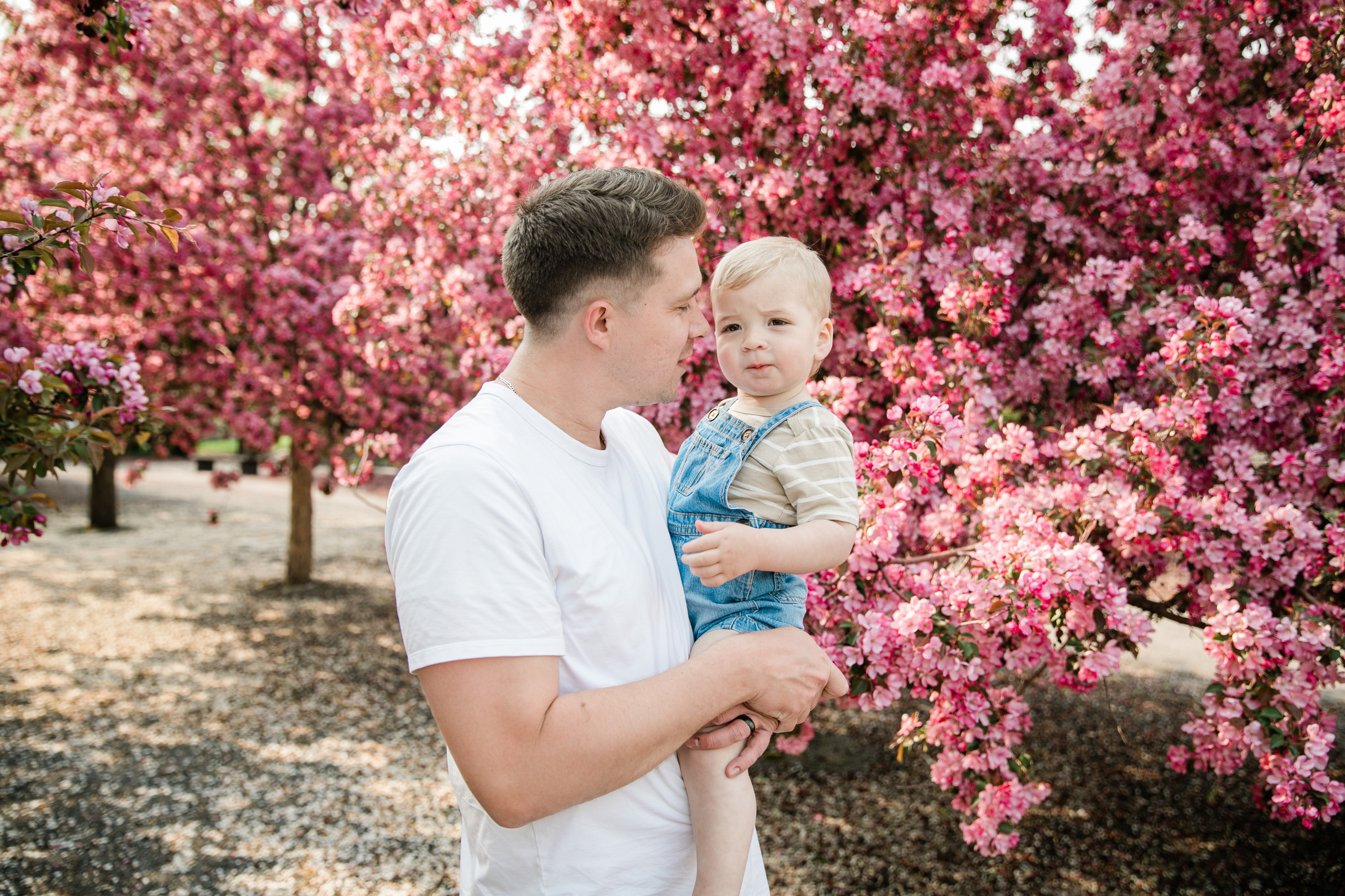 Cherry Blossom Pitcher’s Family. Ching Li Photography