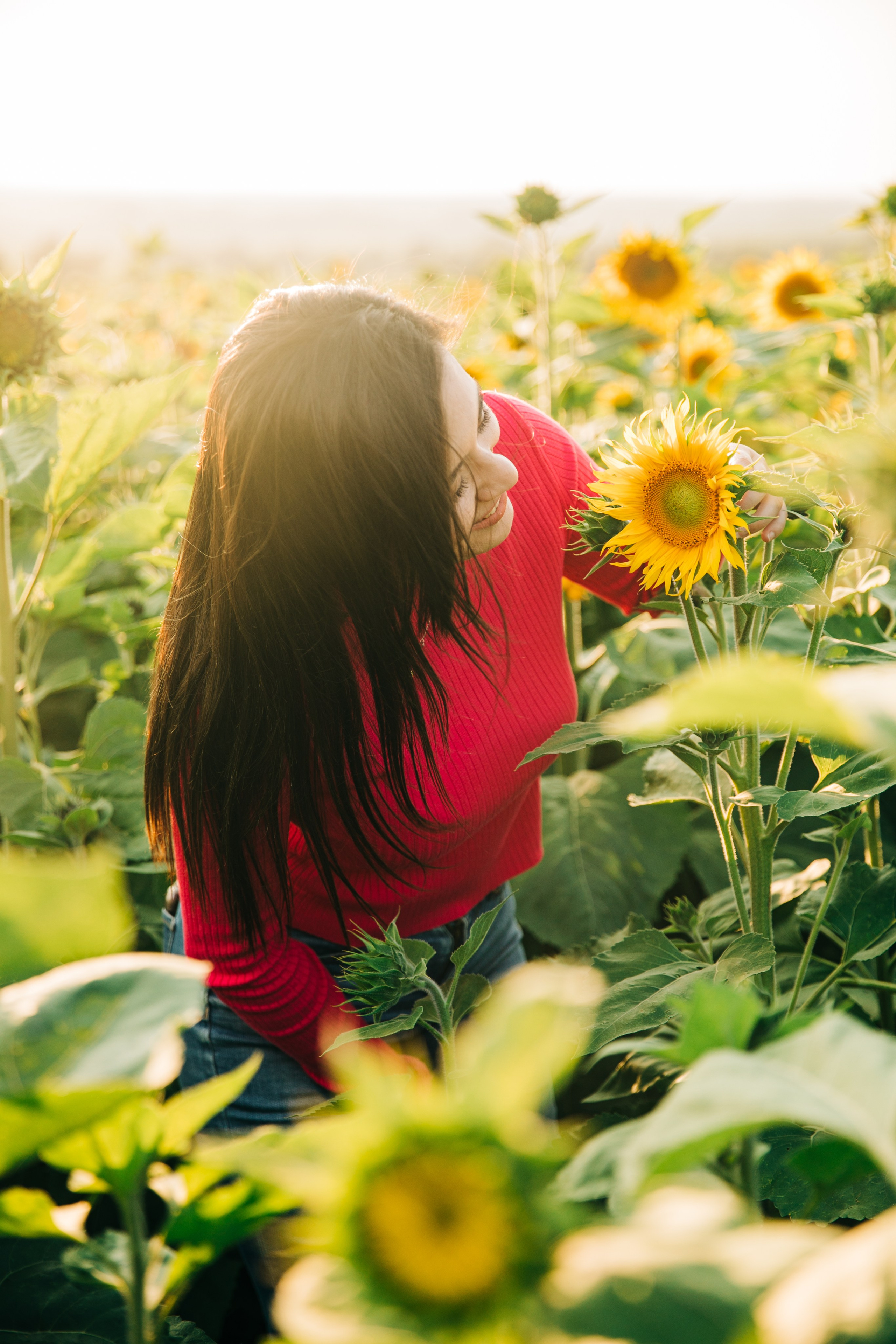 Bowden Sunmaze — Ana Pau & Johnathan. Ching Li Photography