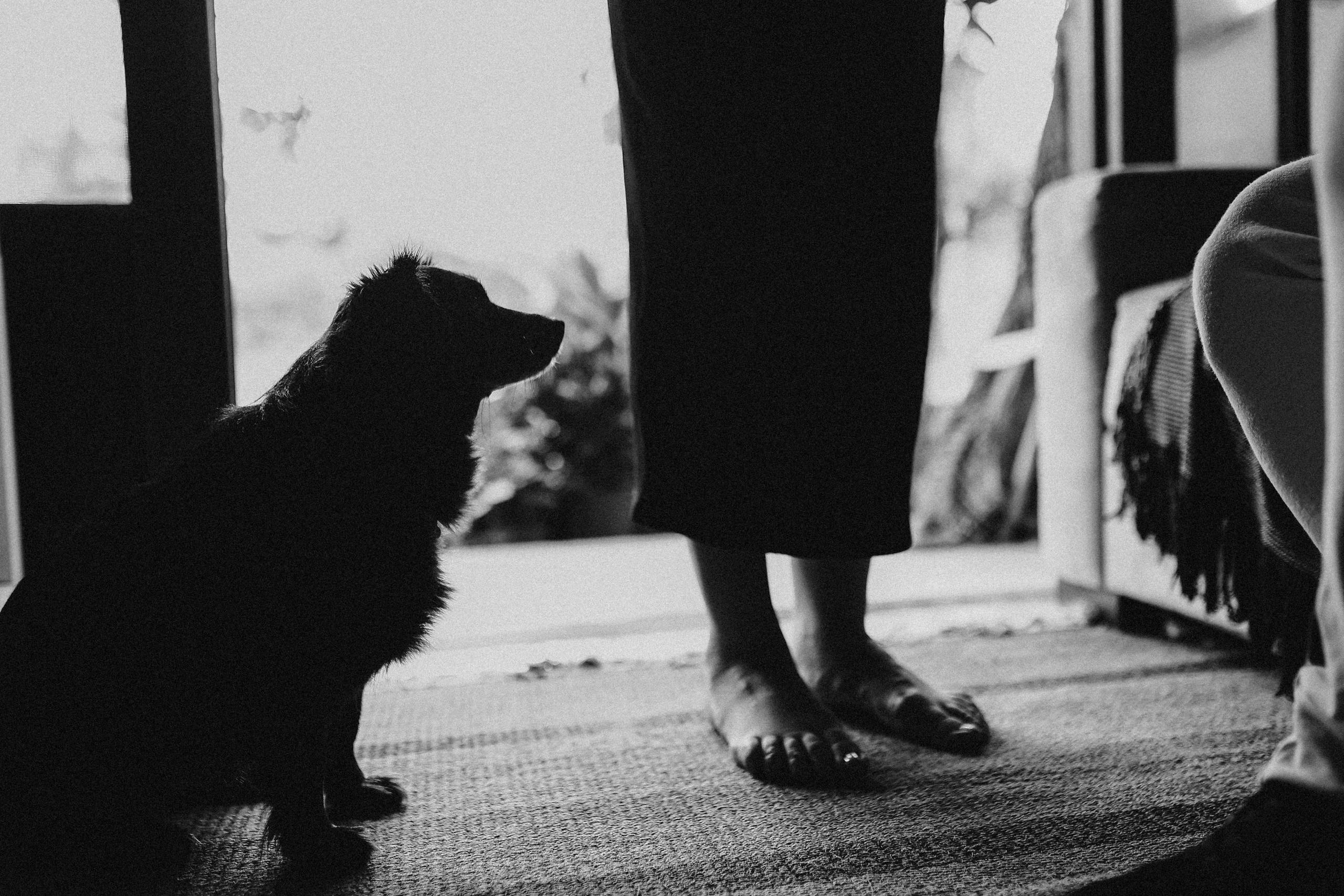 A espera do Akira. Fotografa documental de familia e nascimento em Florianópolis SC Daria Ermolaev
