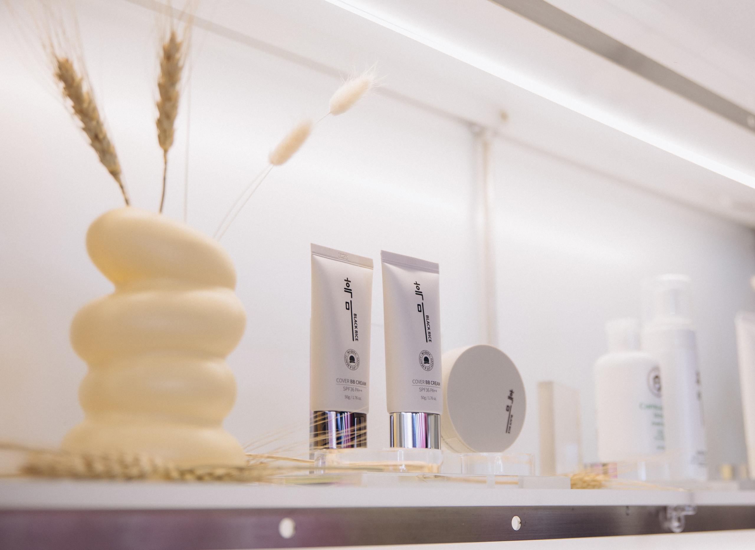Seoul beauty expo 2025 (Black Rice). Портретный фотограф в Южной Корее Ольга Лян