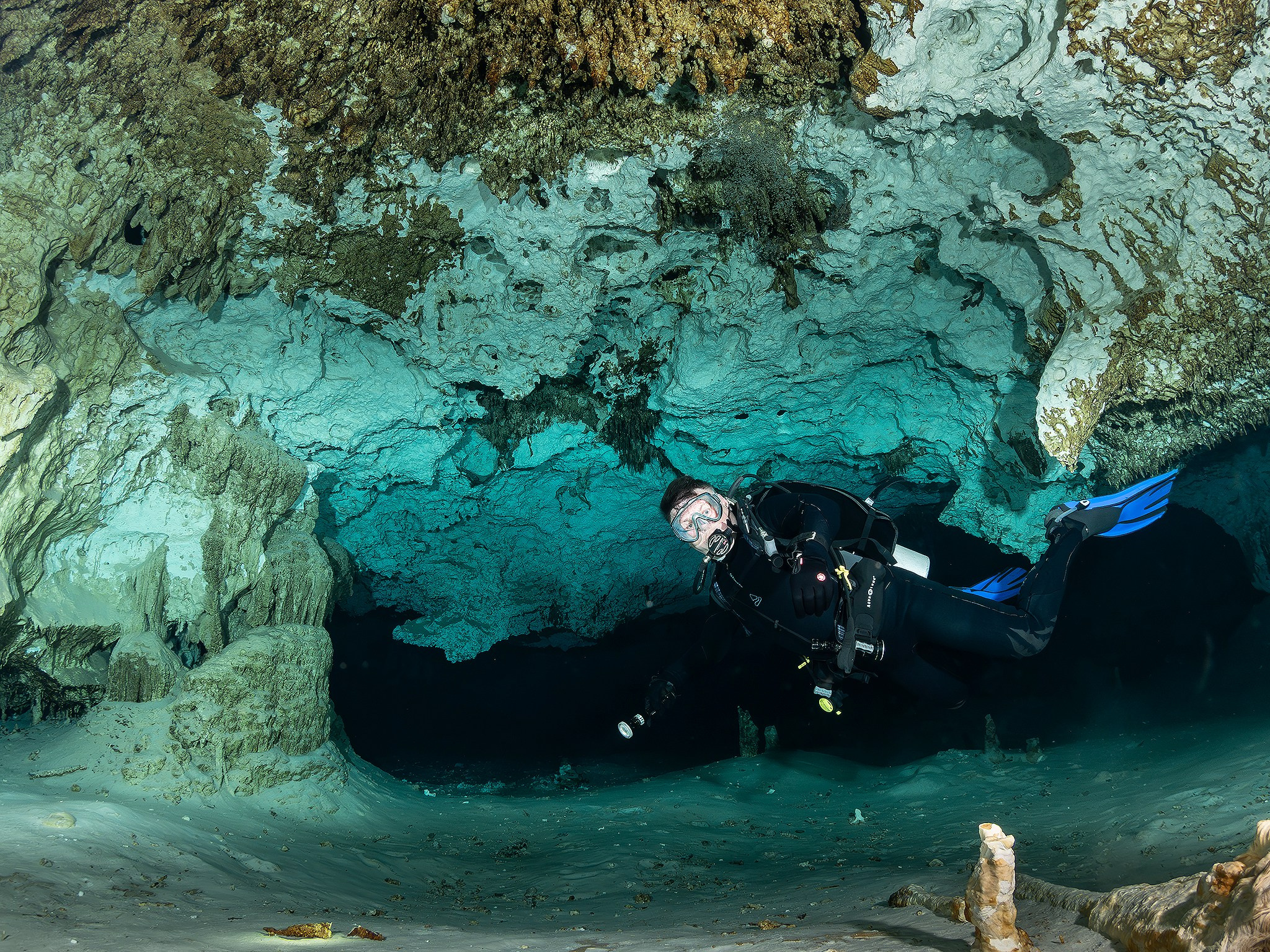 Сenote. Your photographer on land and under water— Alexey Zaytsev