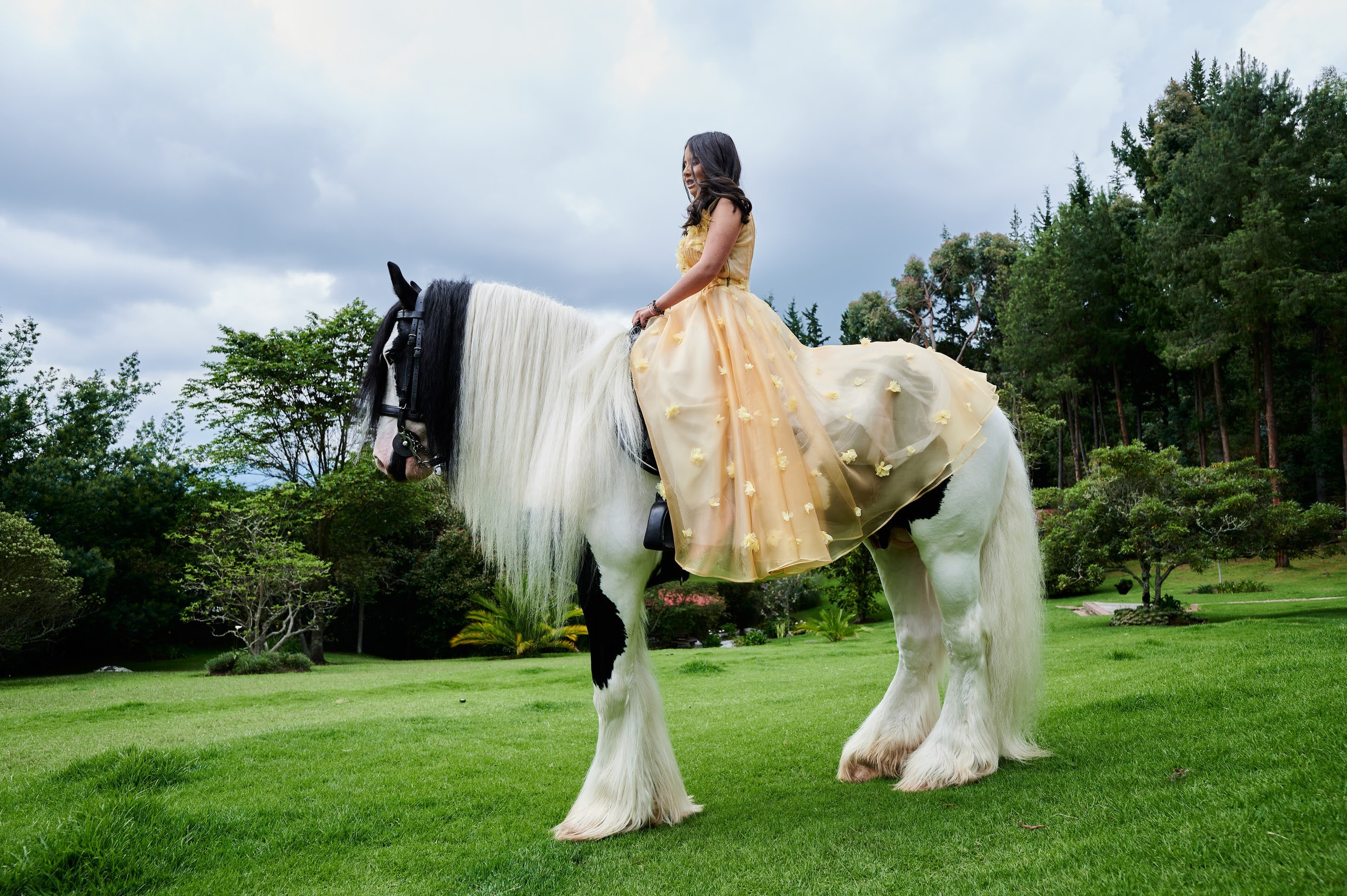Fotos con caballos para Quiceaños. Wedding Photography & Videography by ZZ Hendrick | Capturing Your Love Story in Colombia & USA