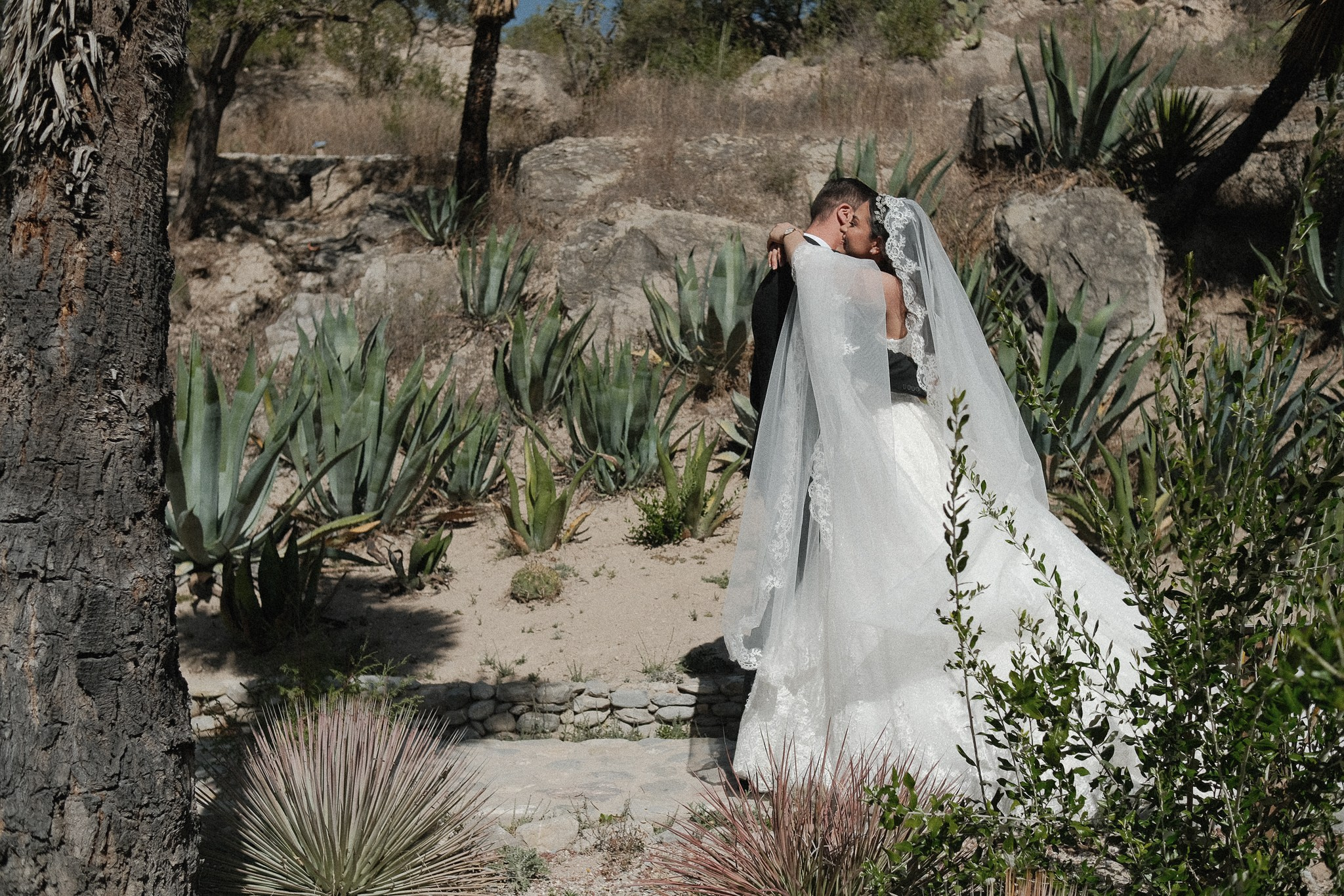 Ann y Carlos: Boda en Armadillo de los Infante. Fotógrafo de bodas