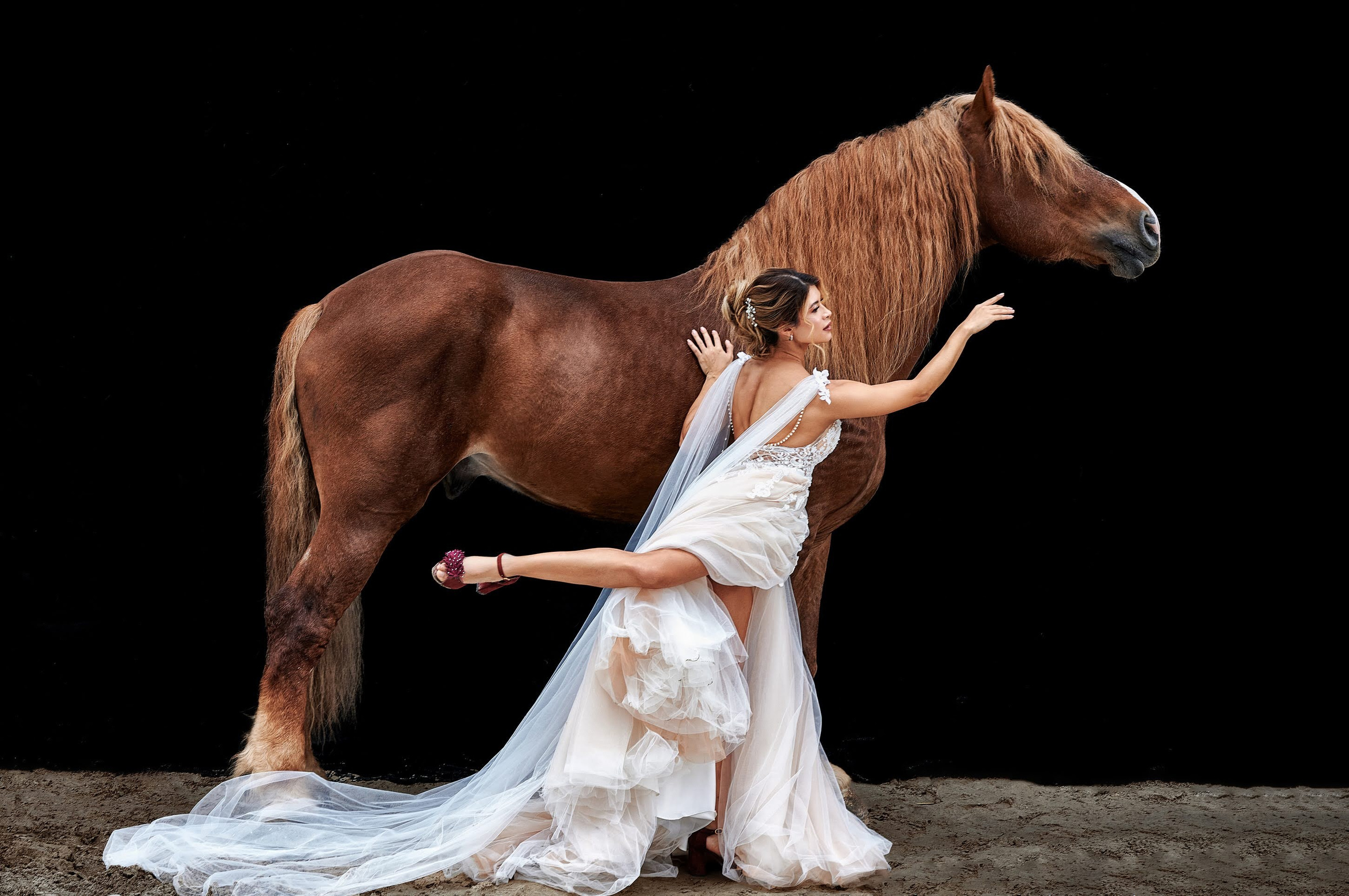 Fotos con caballos para Quiceaños. Wedding Photography & Videography by ZZ Hendrick | Capturing Your Love Story in Colombia & USA