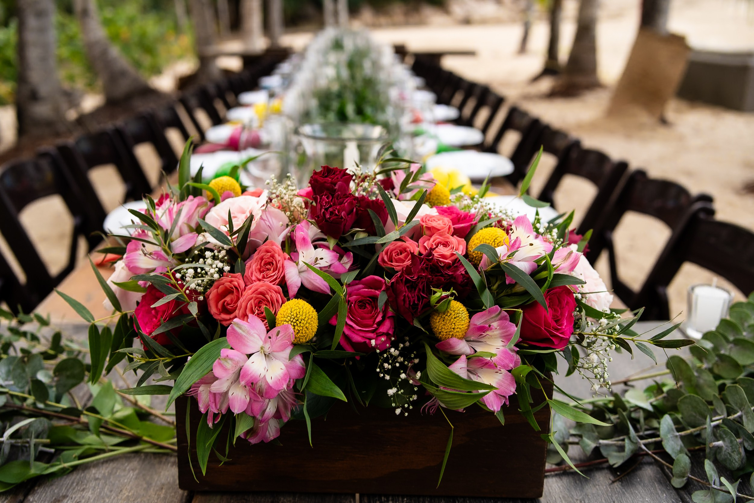 Aggie & Brian. Fotografía de Bodas Profesionales en Puerto Vallarta y Riviera Nayarit