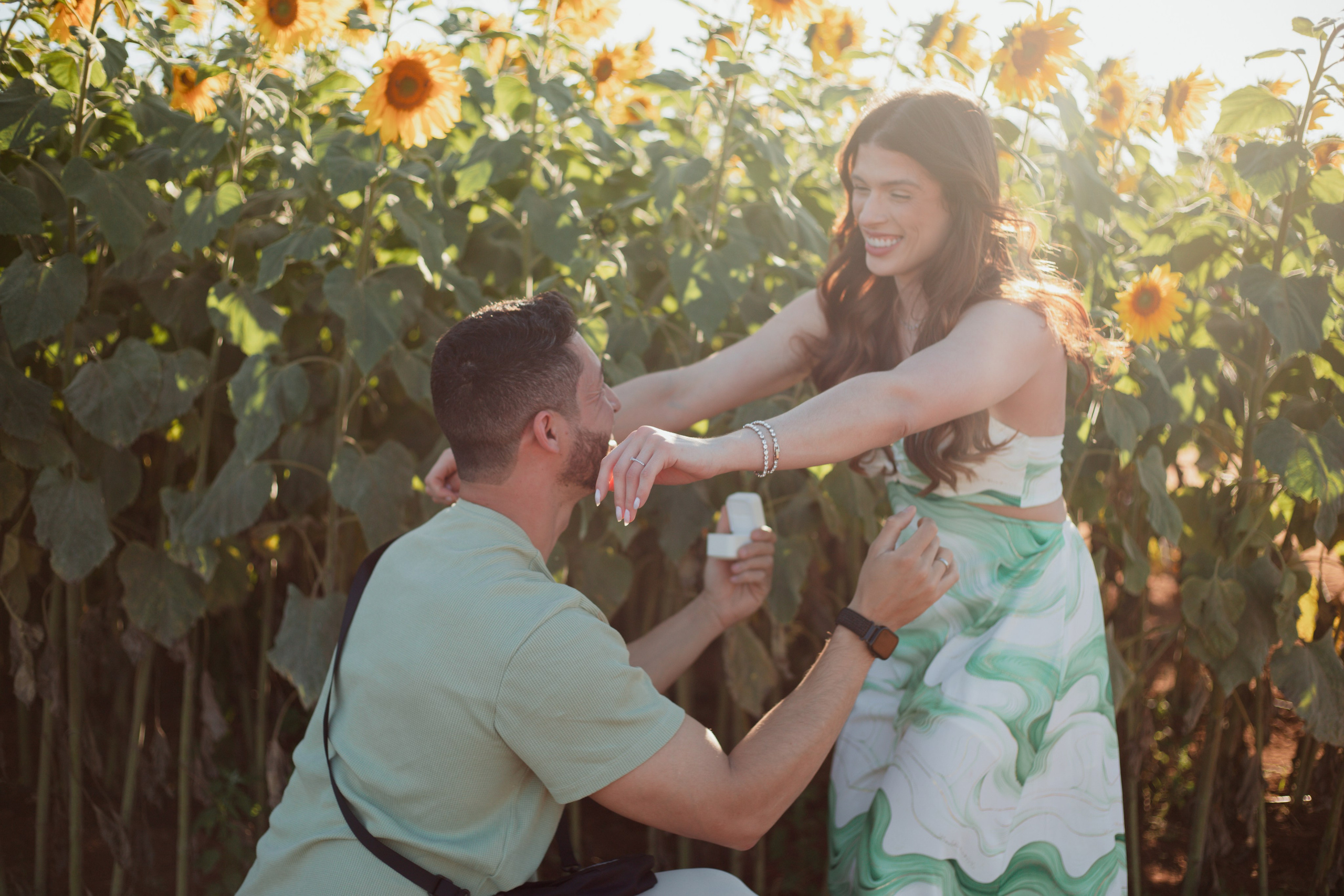 Pedido de Casamento em Holambra. Joyce Maria Fotografia | Fotógrafa em Holambra