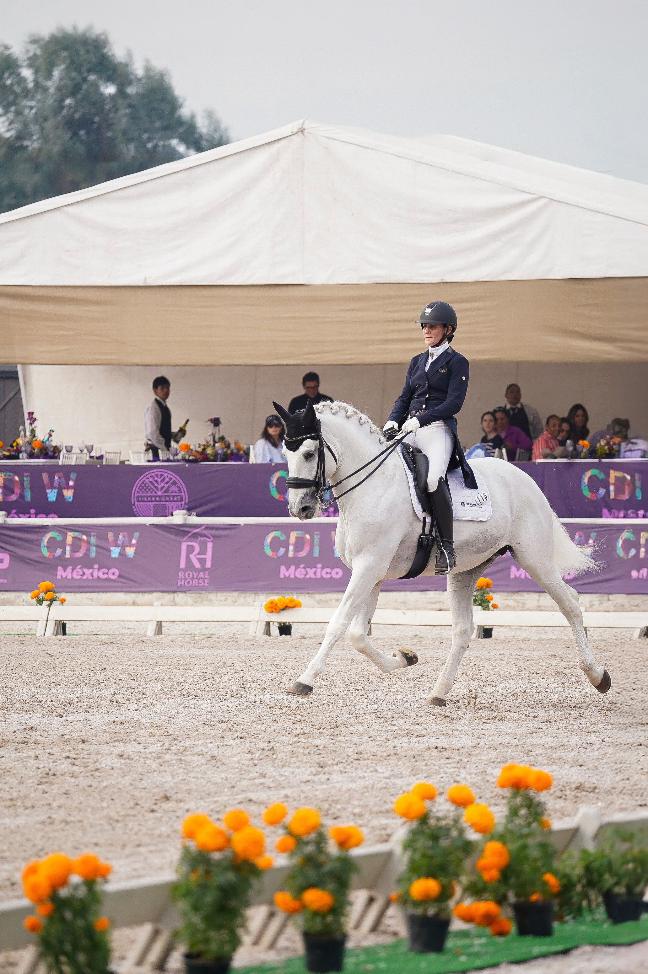 Vacation photoshoot in Mexico City. Capture your trip with a professional photographer. Horse riding dressage doma clasica show jumping Tour. Ekaterina Frolova photography