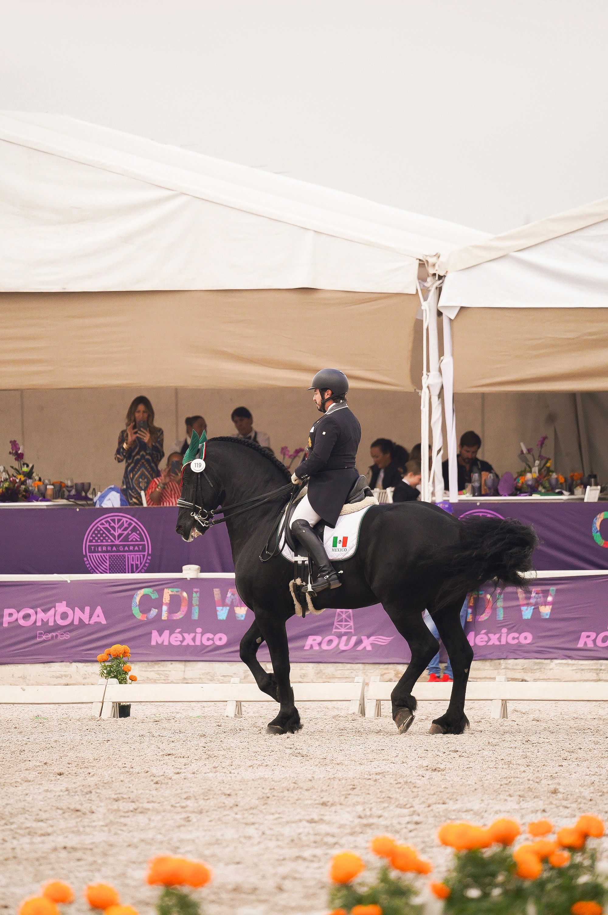 Vacation photoshoot in Mexico City. Capture your trip with a professional photographer. Horse riding dressage doma clasica show jumping Tour. Ekaterina Frolova photography
