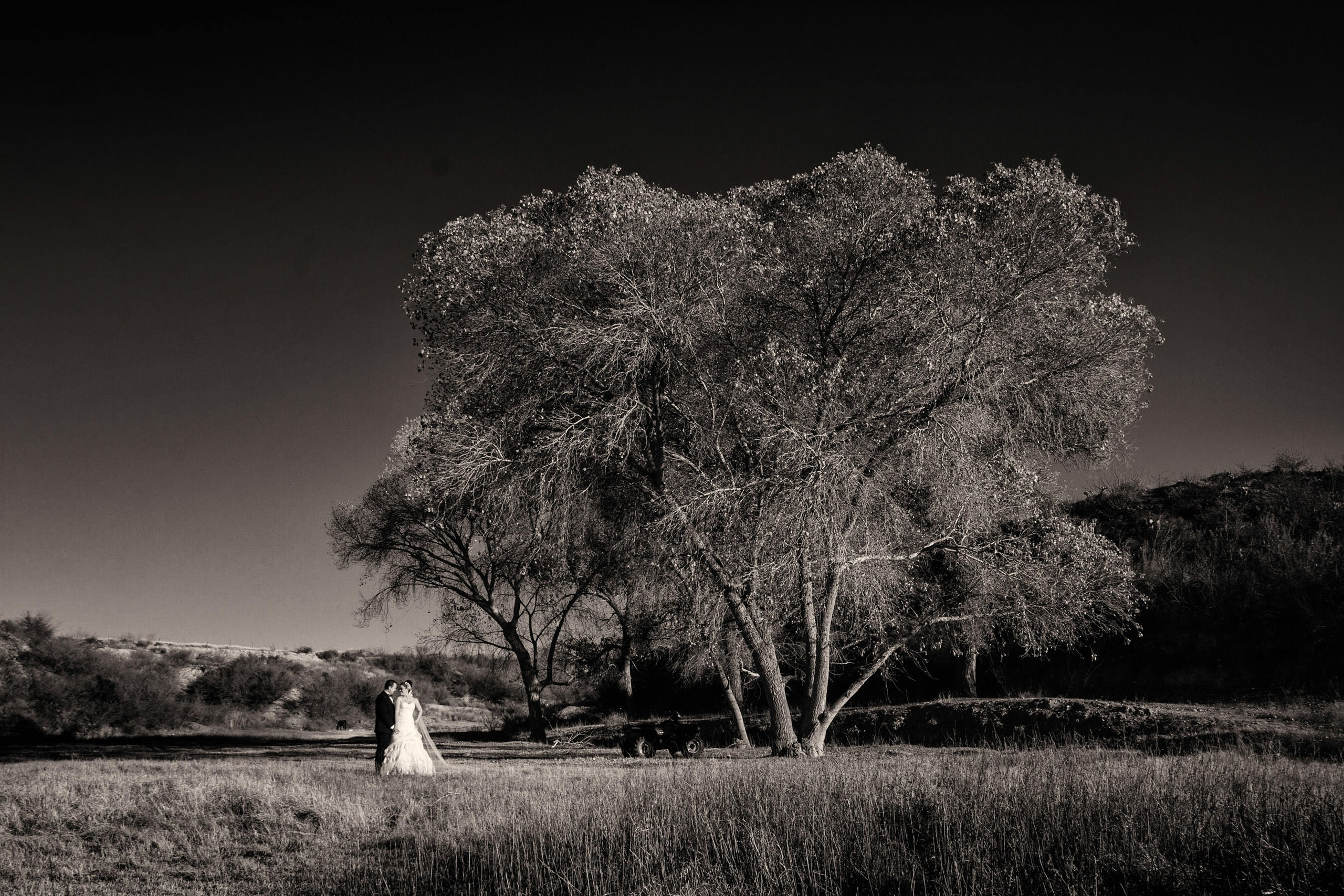 Bodas. Fotógrafo Profesional en Chihuahua, México — Alex Mendoza