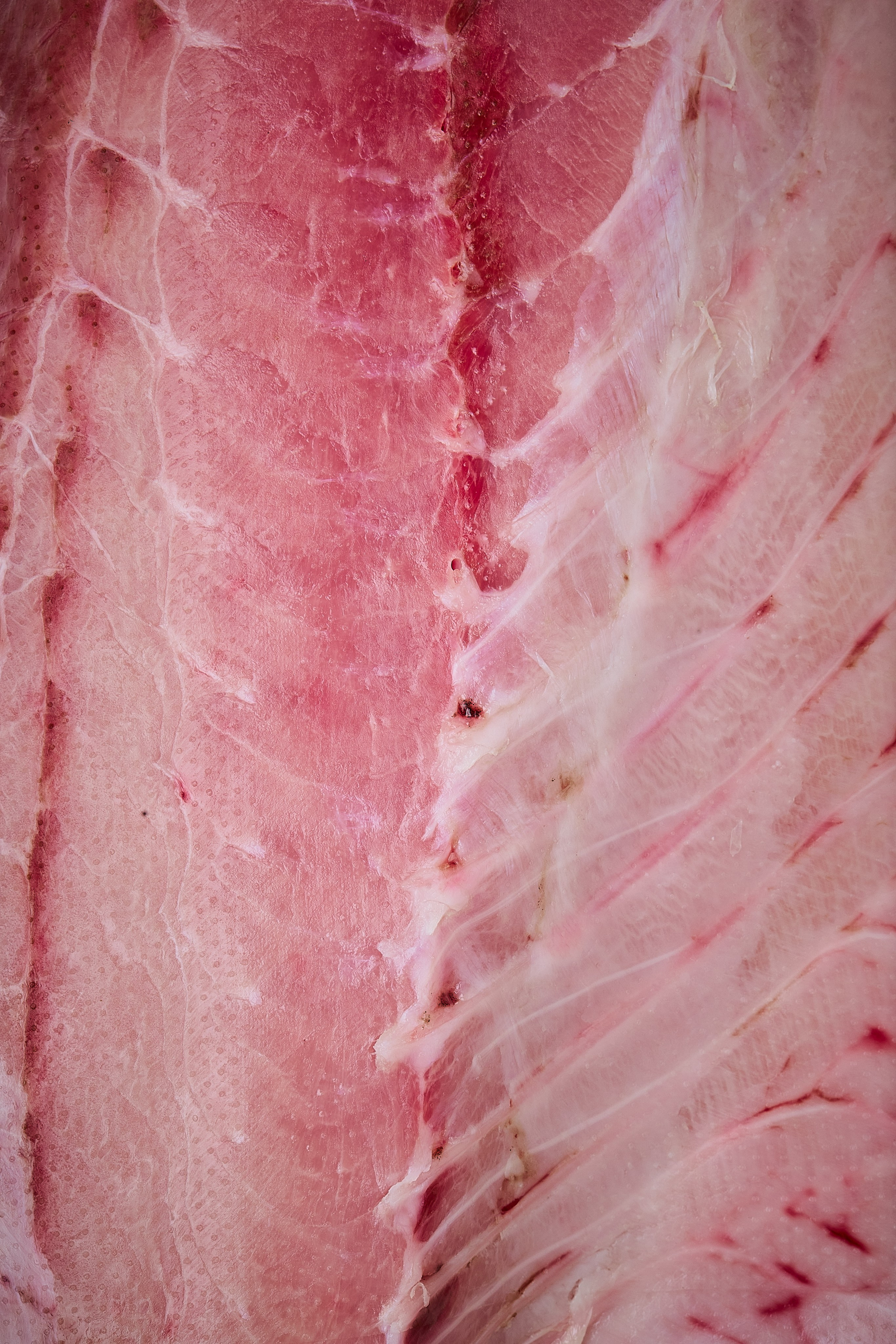 Japanese Food. Commercial Food Photography & Films