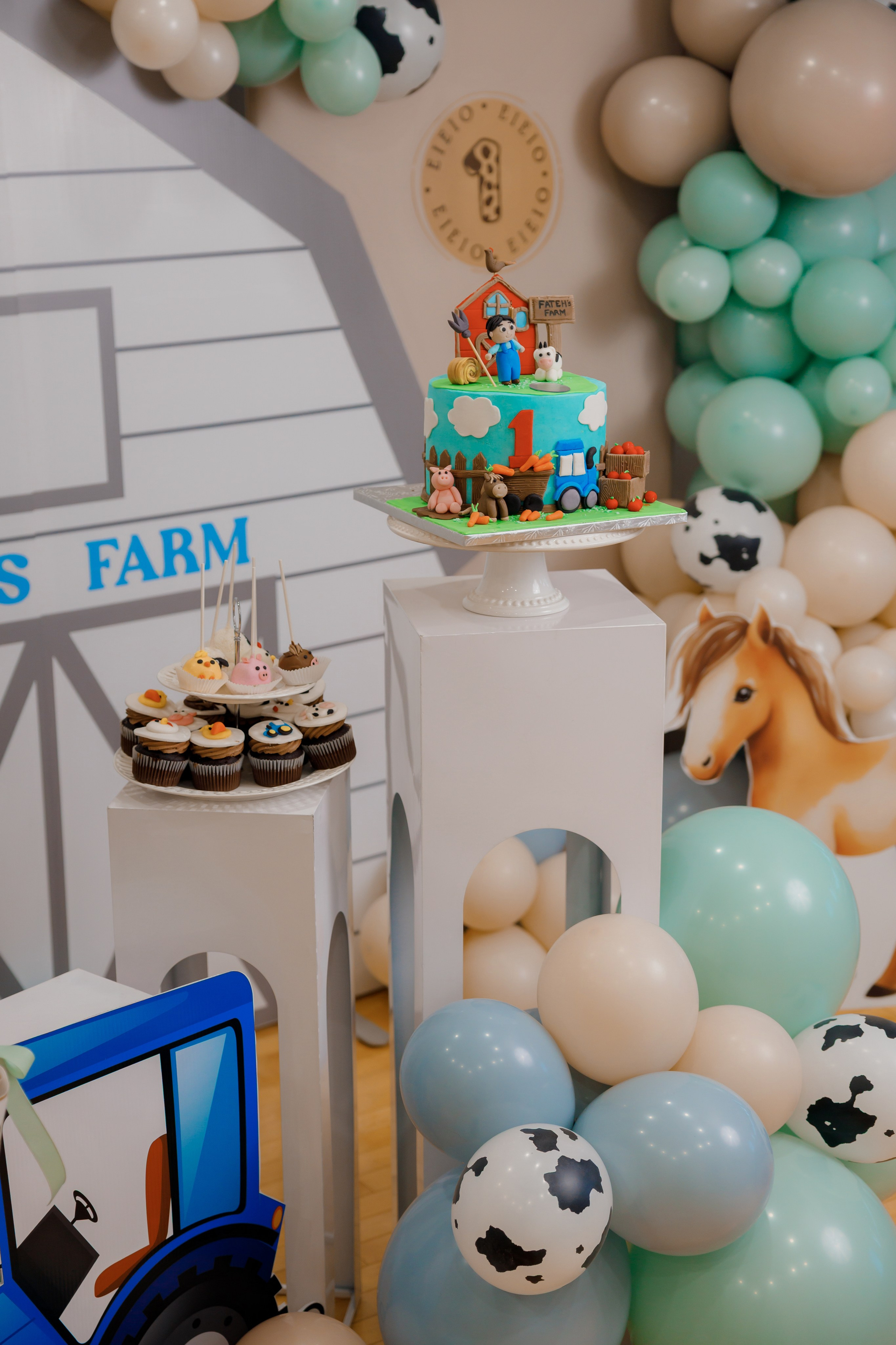 Fateh’s 1st birthday. Photographer Elvira Hryshchenko