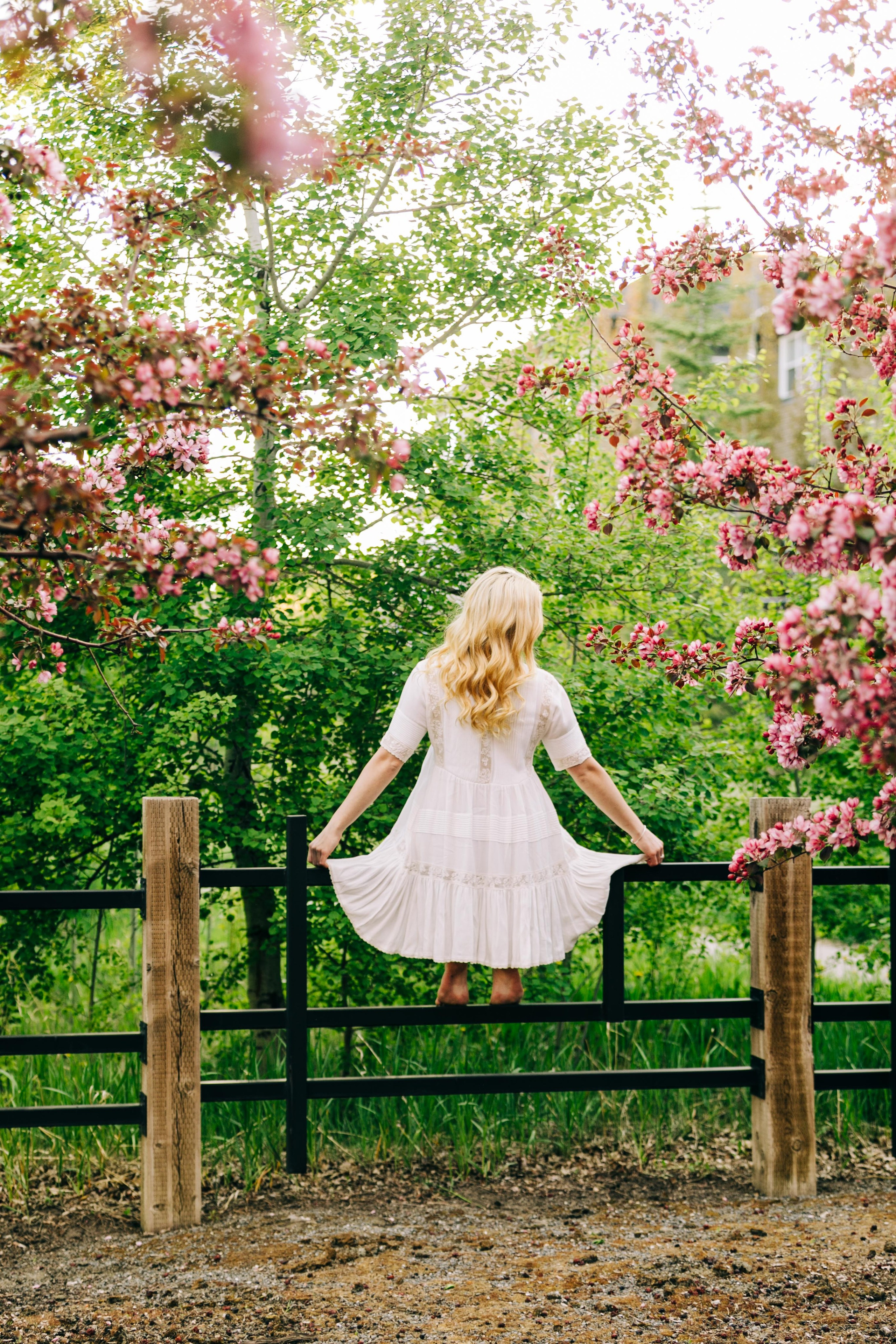 Cherry Blossom — Leann. Ching Li Photography