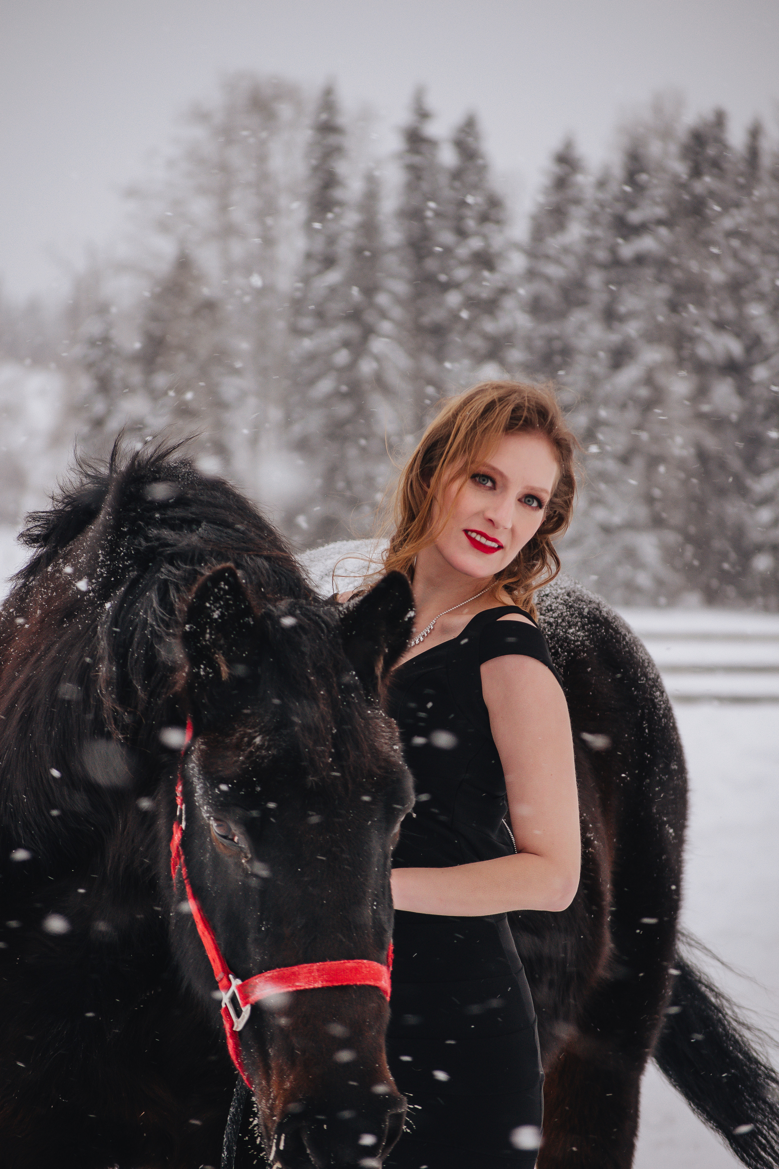 Christmas minis. Ellen Litvinova photography
