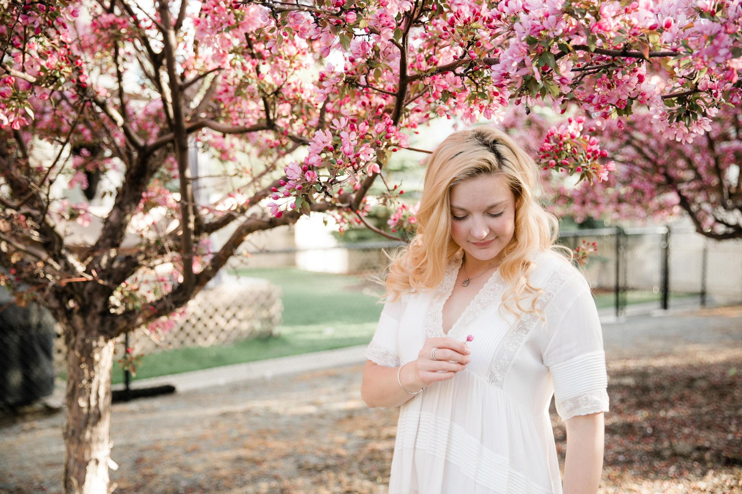 Cherry Blossom — Leann. Ching Li Photography