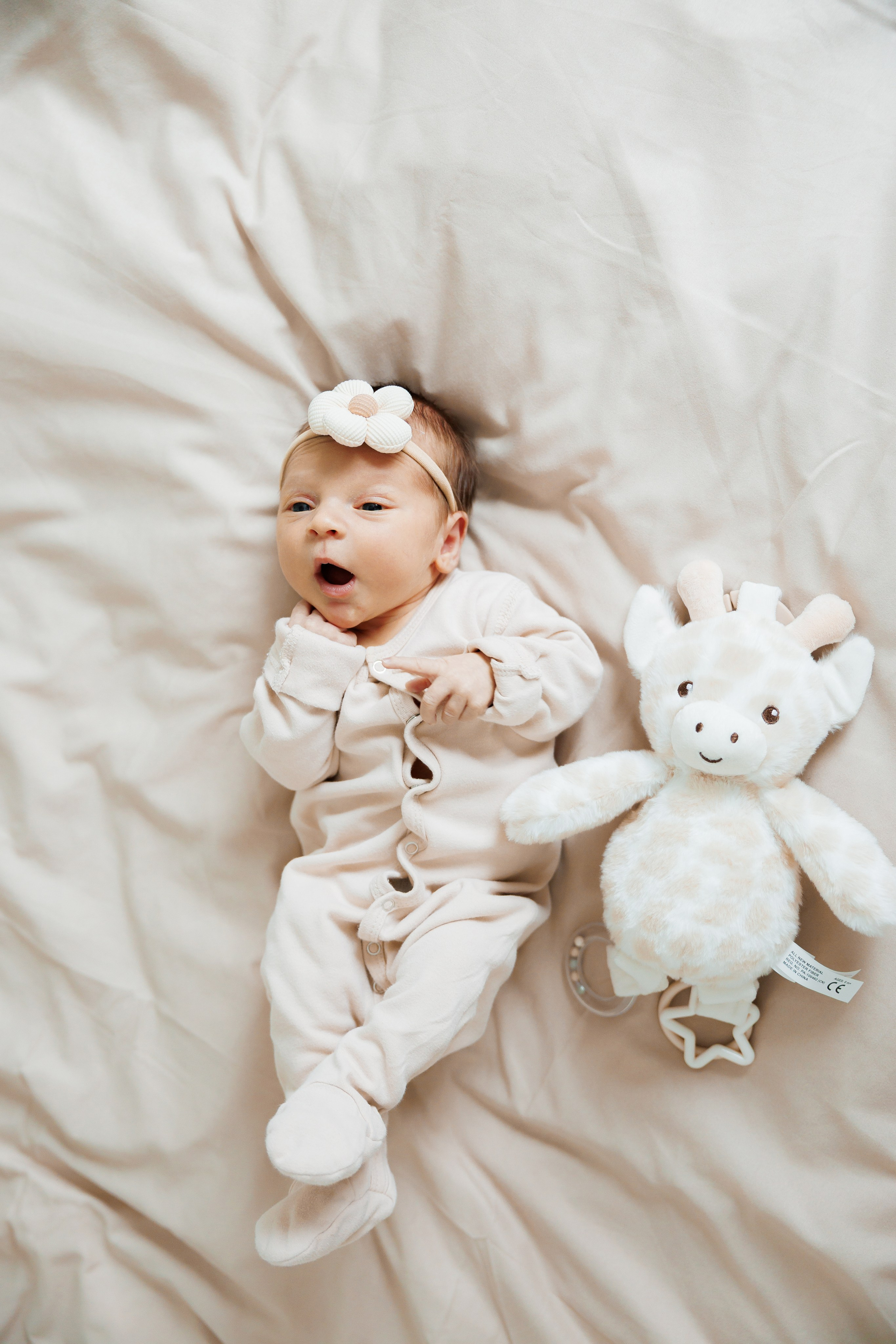 New born. Photographer Elvira Hryshchenko