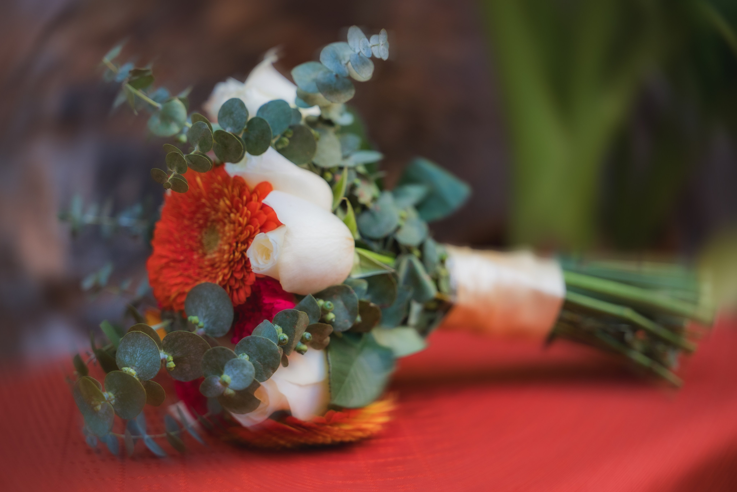 Fotografía para Boda Civil en San Luis Potosí