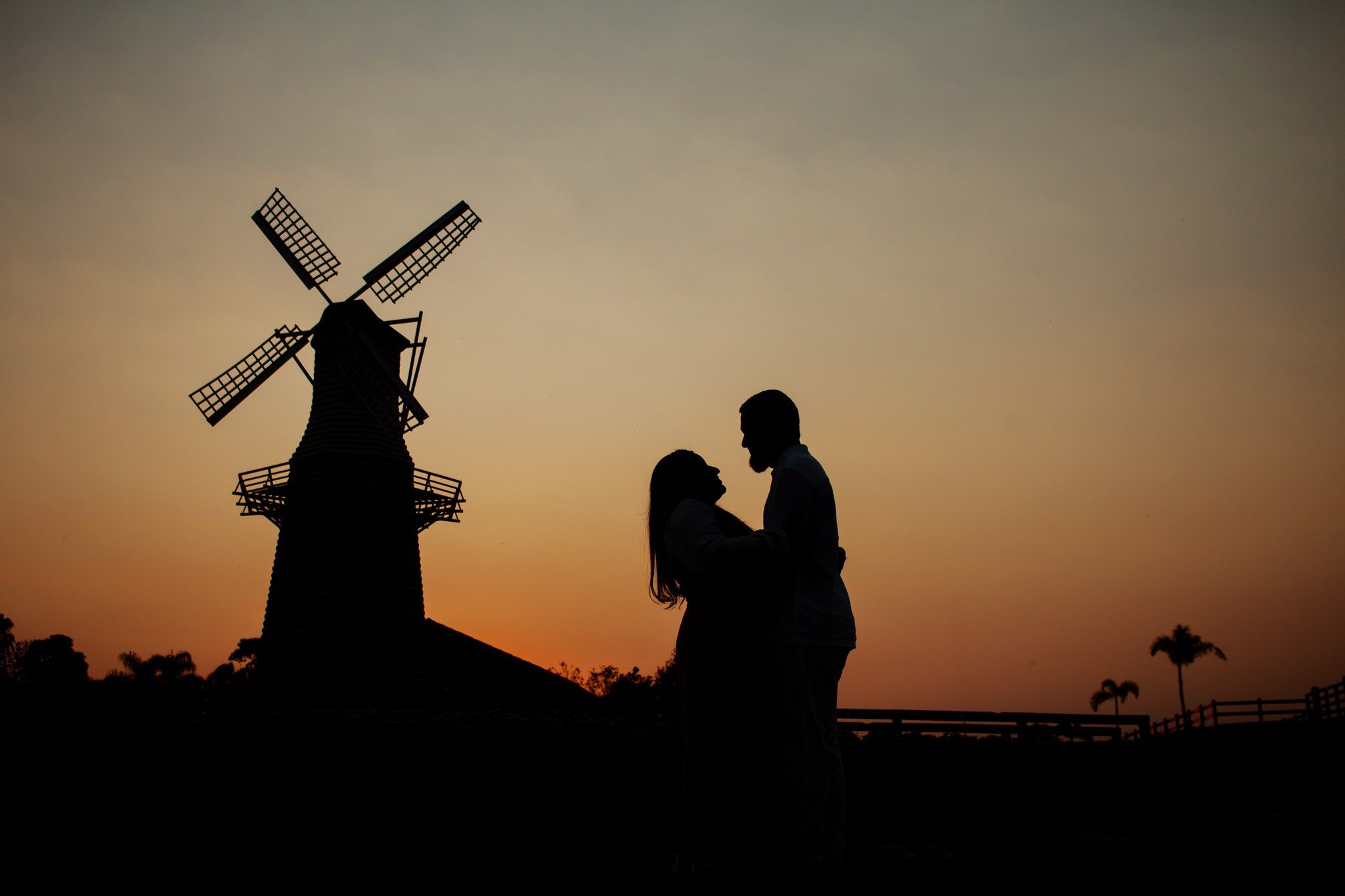 Pedido de Casamento e Pré-Wedding em Holambra | Joyce Maria Fotografia. Joyce Maria Fotografia | Fotógrafa em Holambra