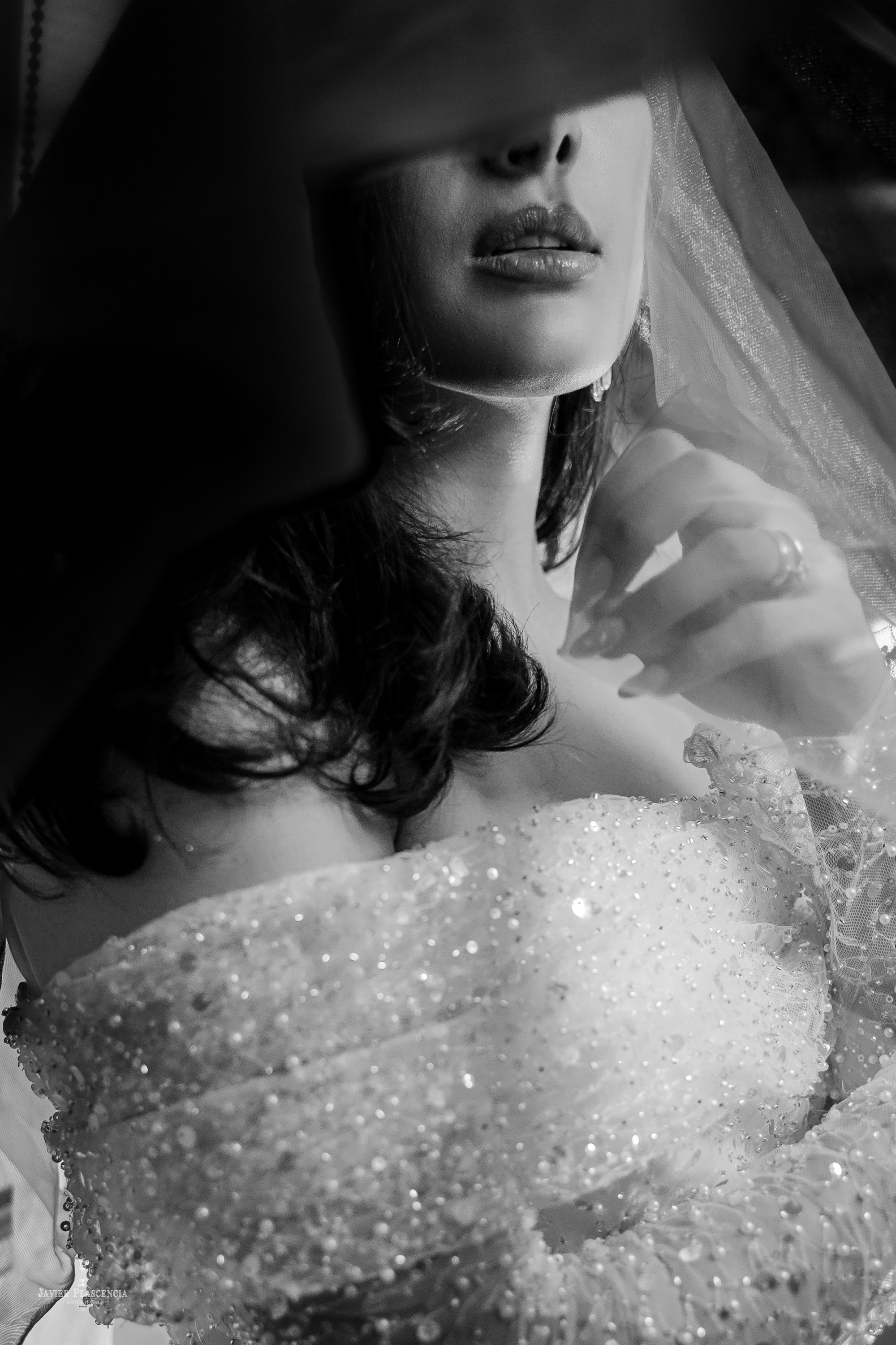 Dayanna & Abel. Javier Plascencia Fotografo de Bodas en México