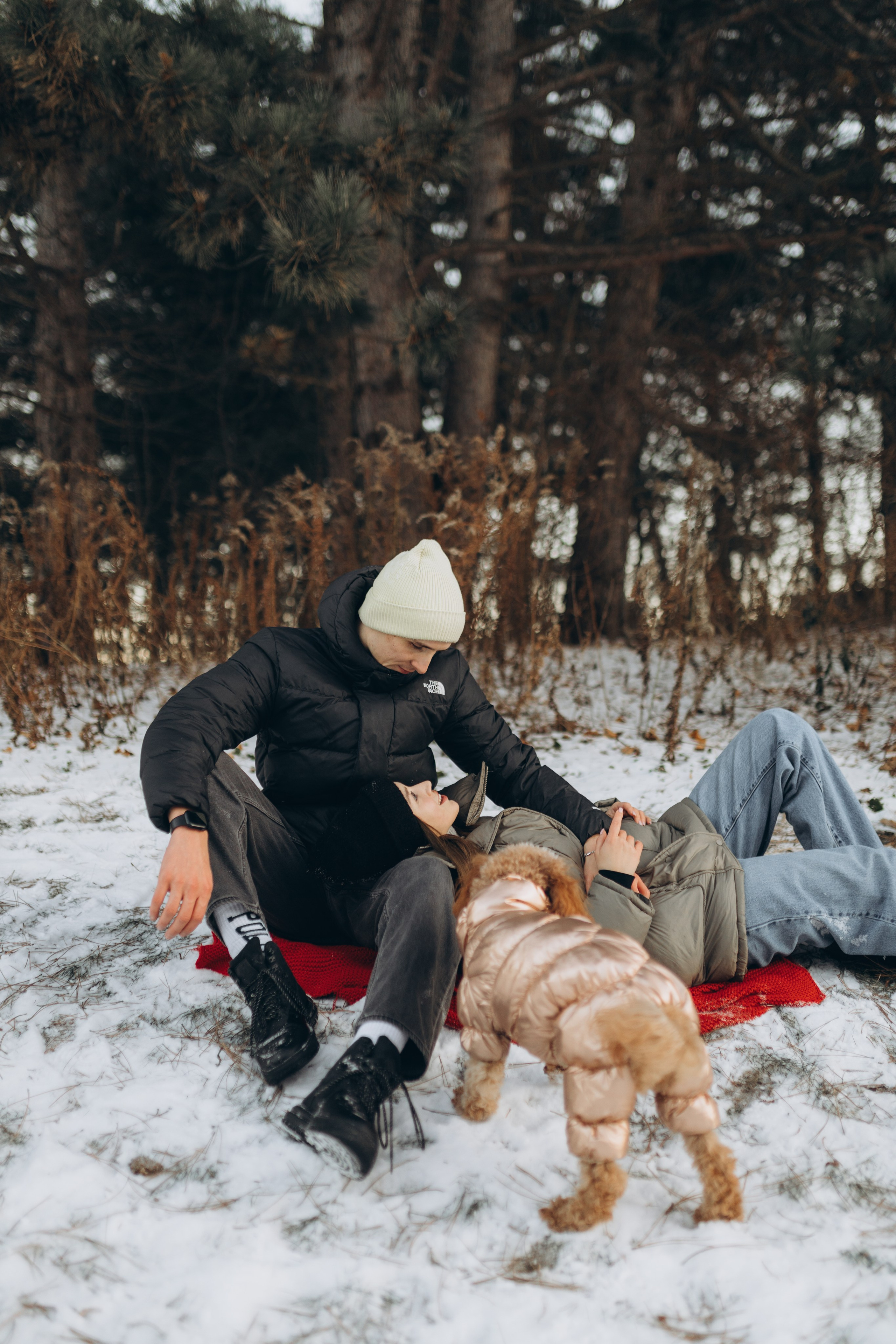 Winter magic. Chernenko.photography