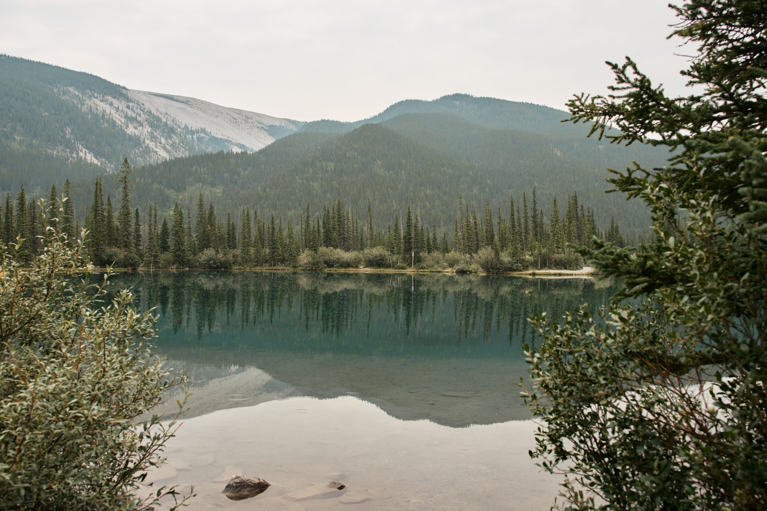 Wedding in Kananaskis Park. Wedding photography and videography team