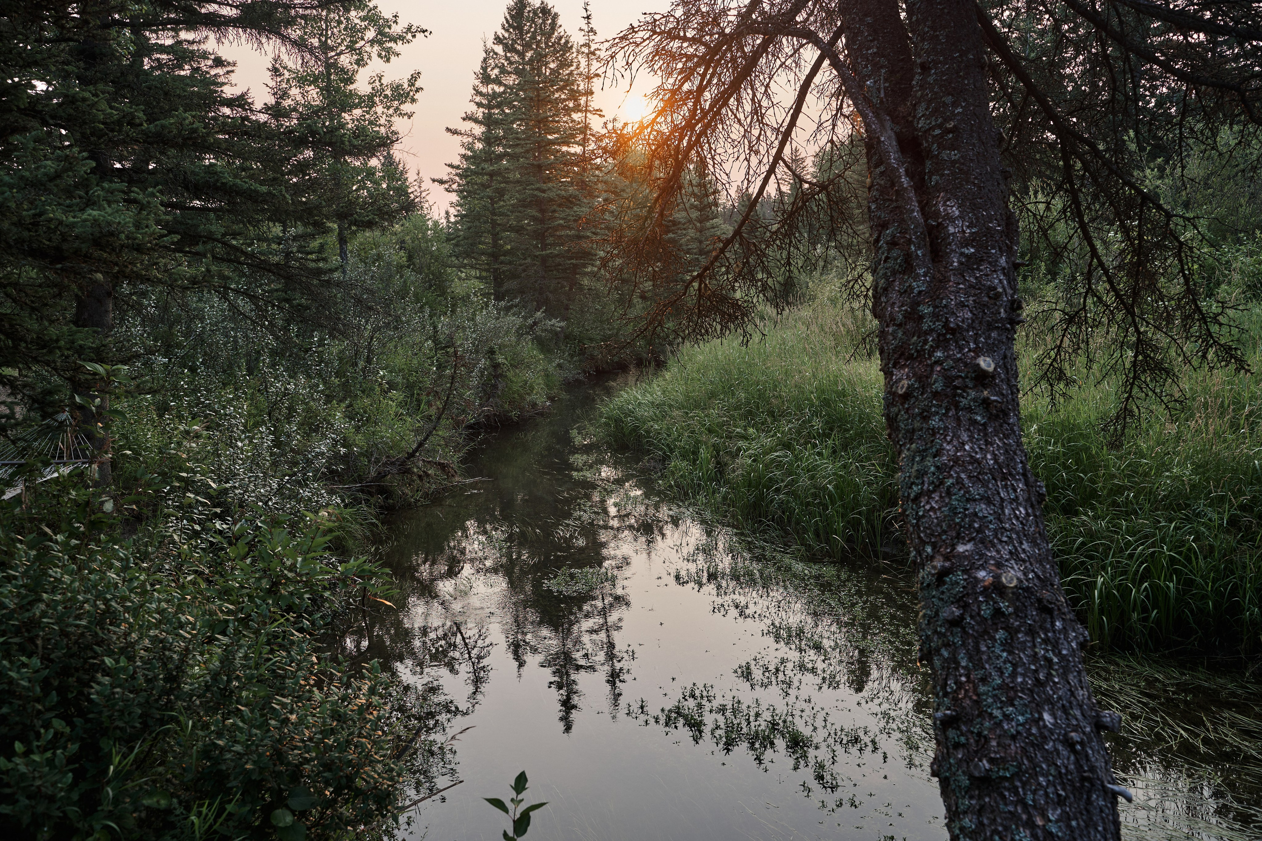 Wedding in Kananaskis Park. Wedding photography and videography team