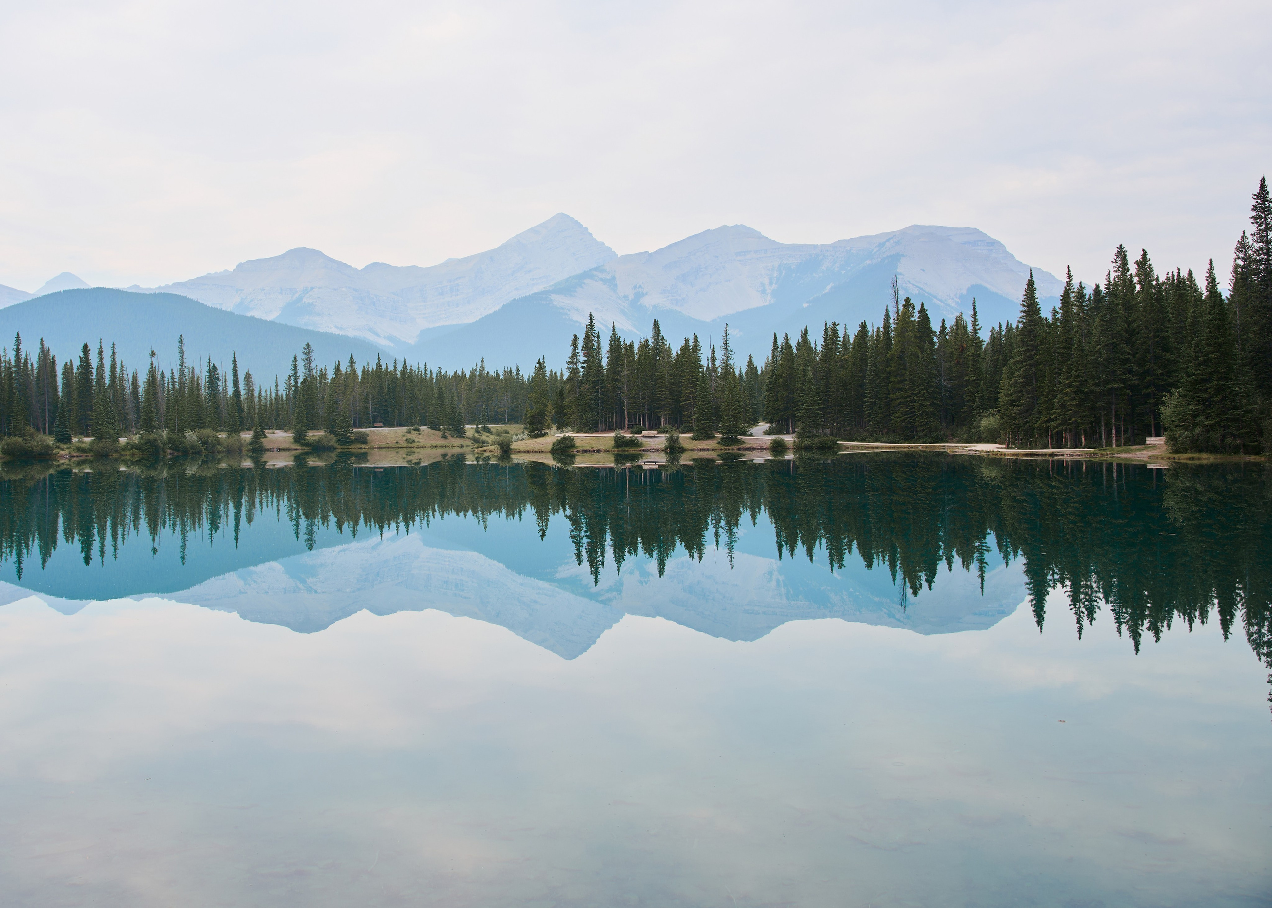 Wedding in Kananaskis Park. Wedding photography and videography team