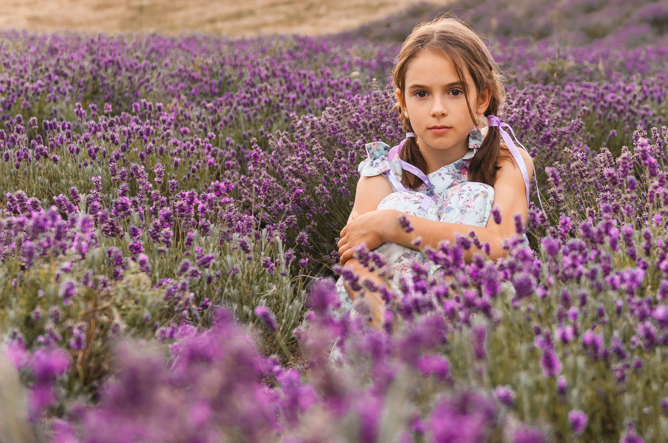 Photoshoot for a large family in the lavender field. Wedding photography and videography team