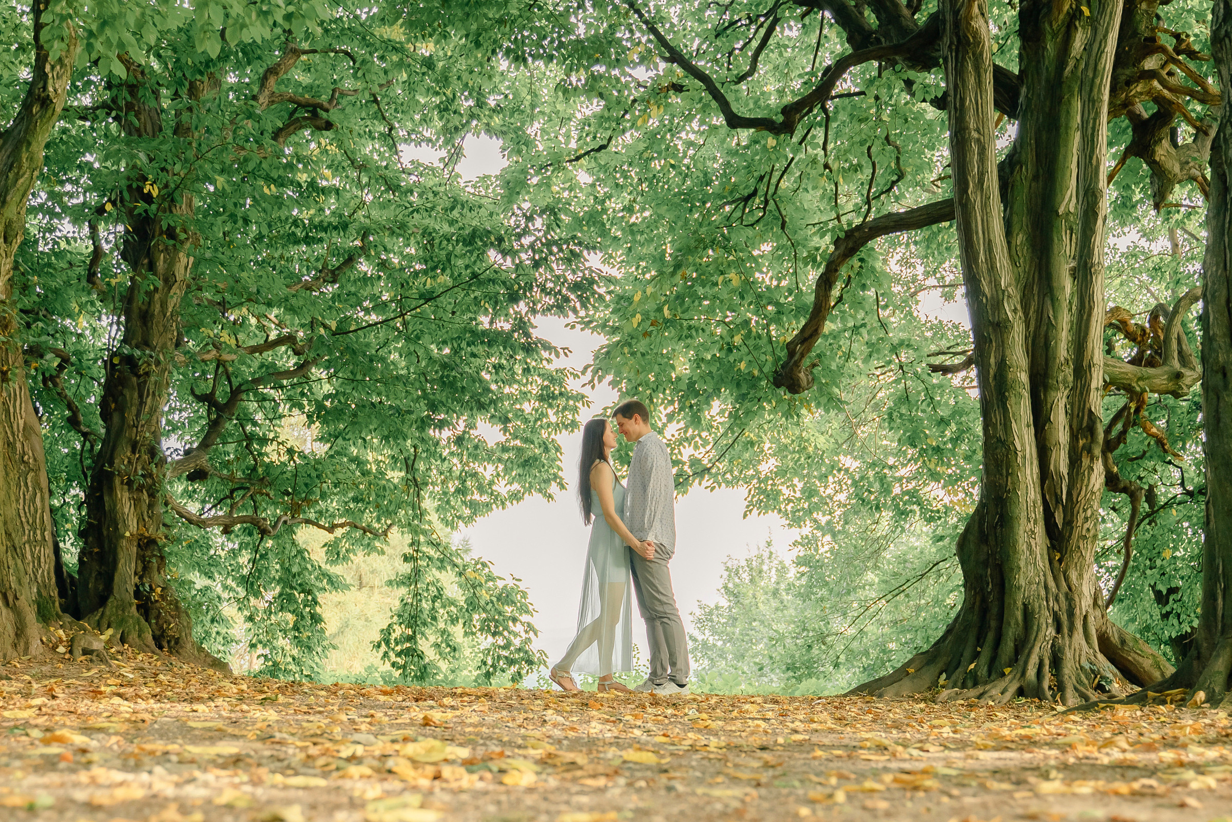 Engagement. Wedding photography and videography team