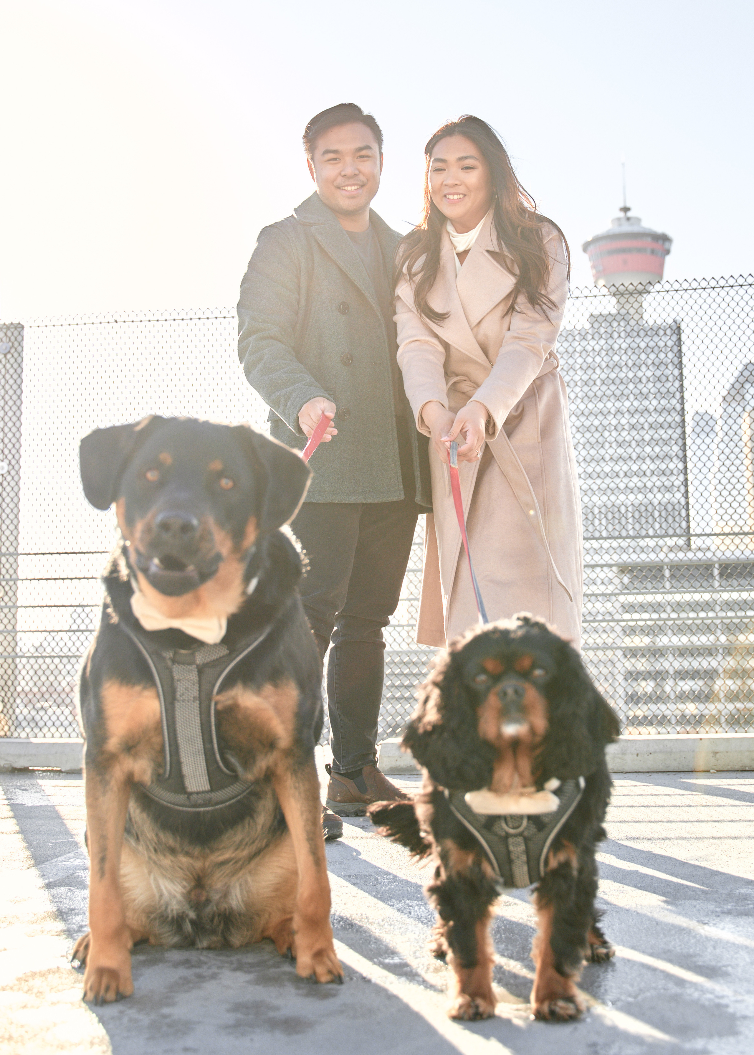 Engagement photoshoot in Calgary. Wedding photography and videography team