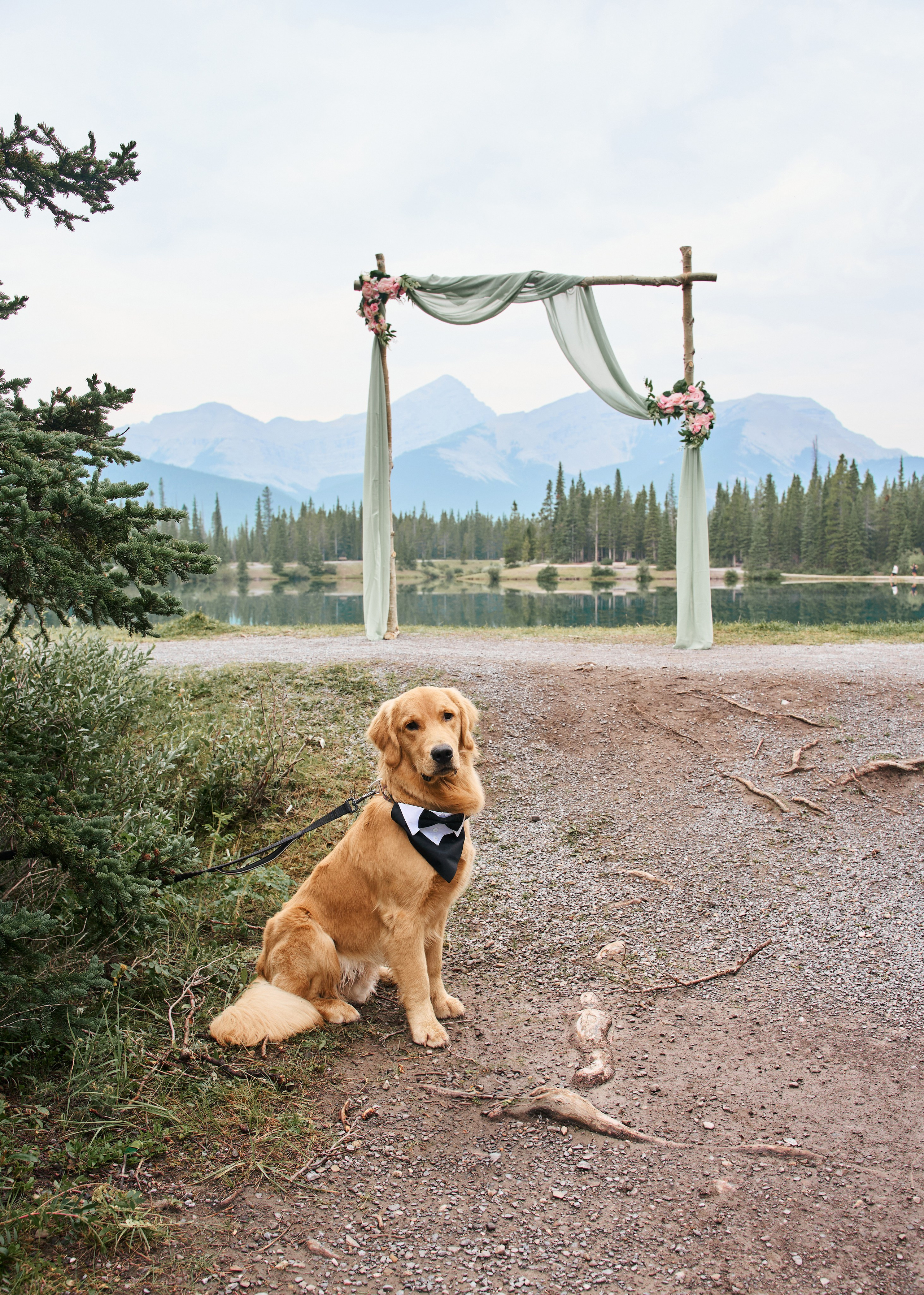 Wedding in Kananaskis Park. Wedding photography and videography team