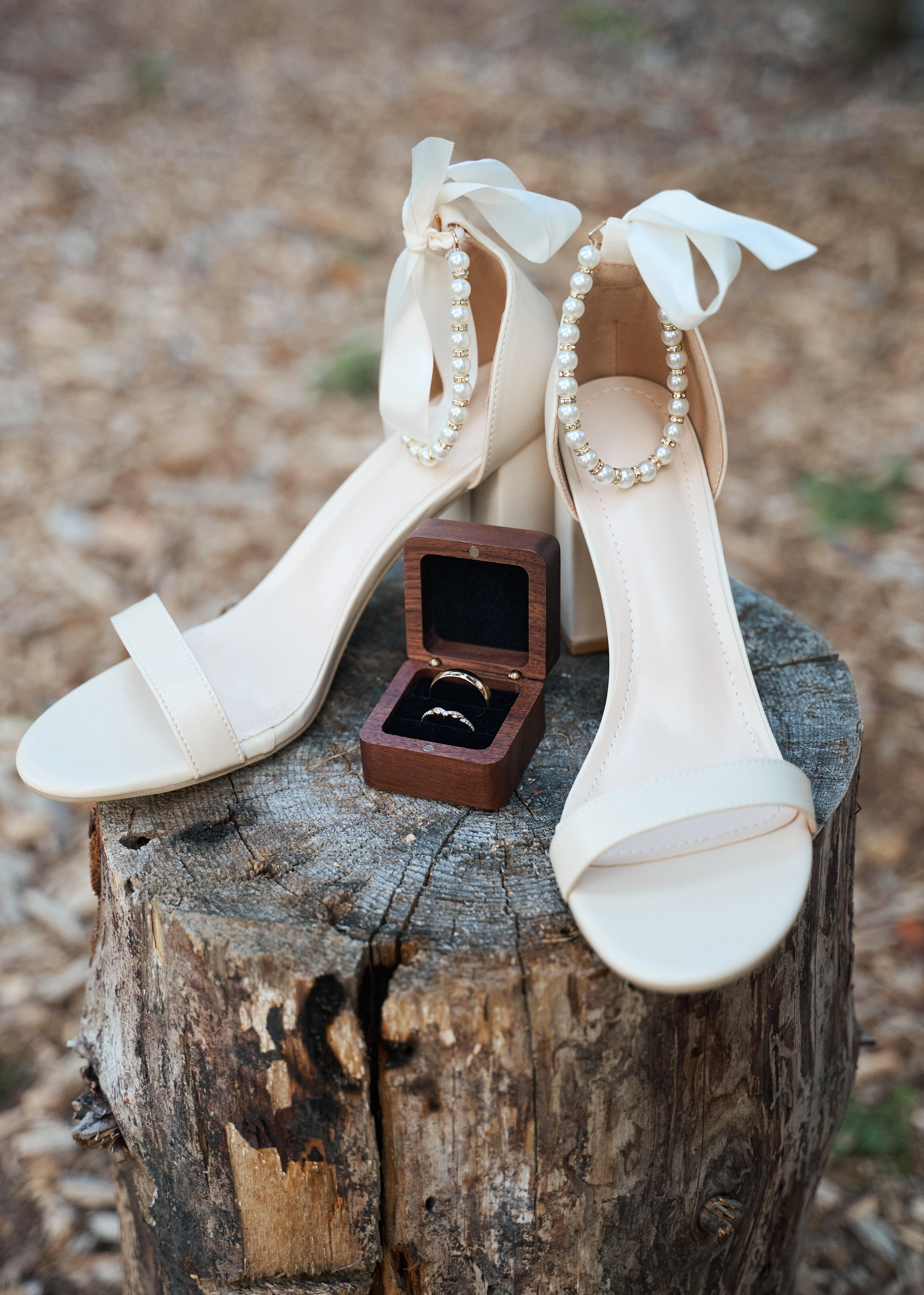 Wedding in Kananaskis Park. Wedding photography and videography team