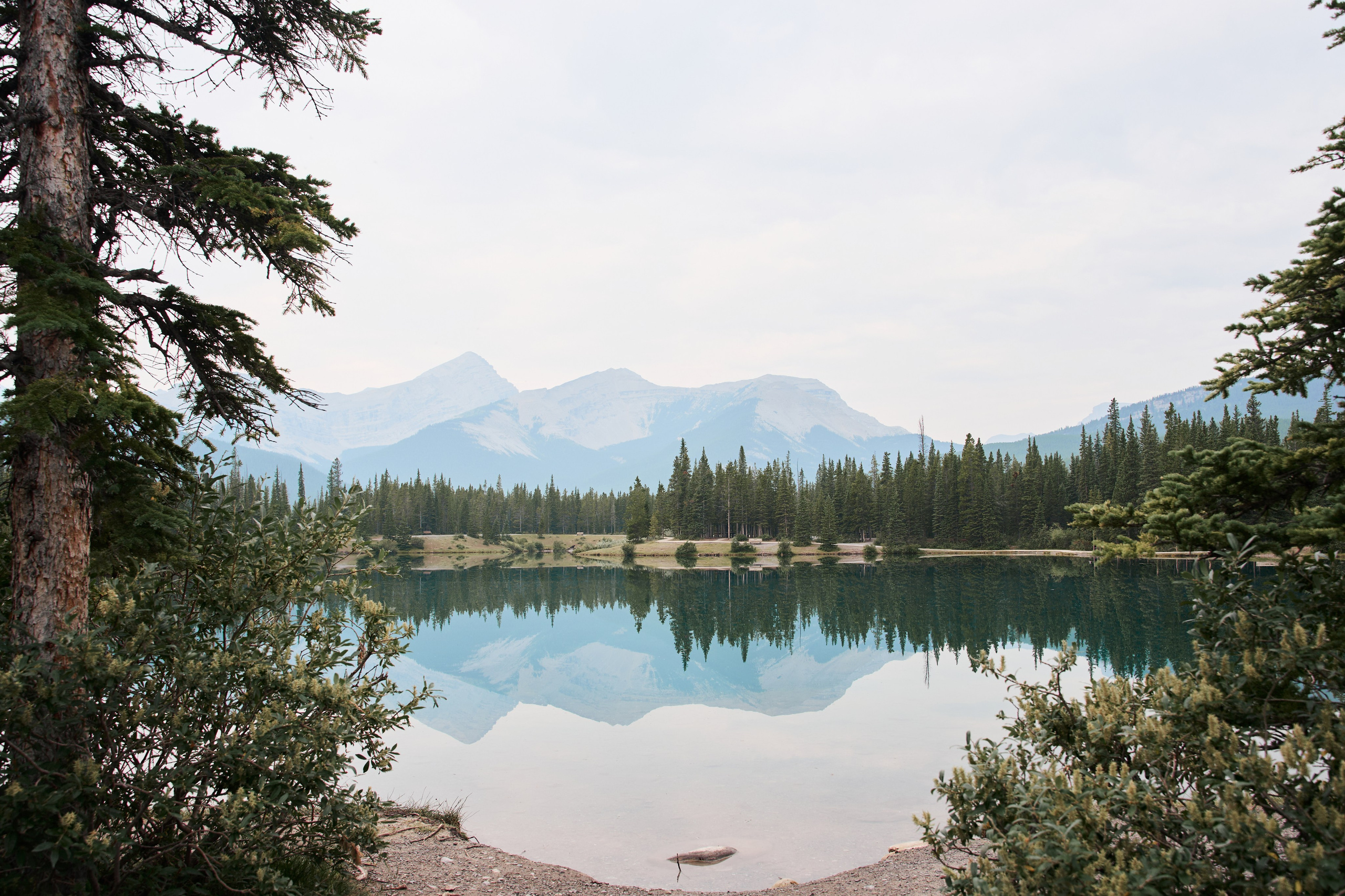 Wedding in Kananaskis Park