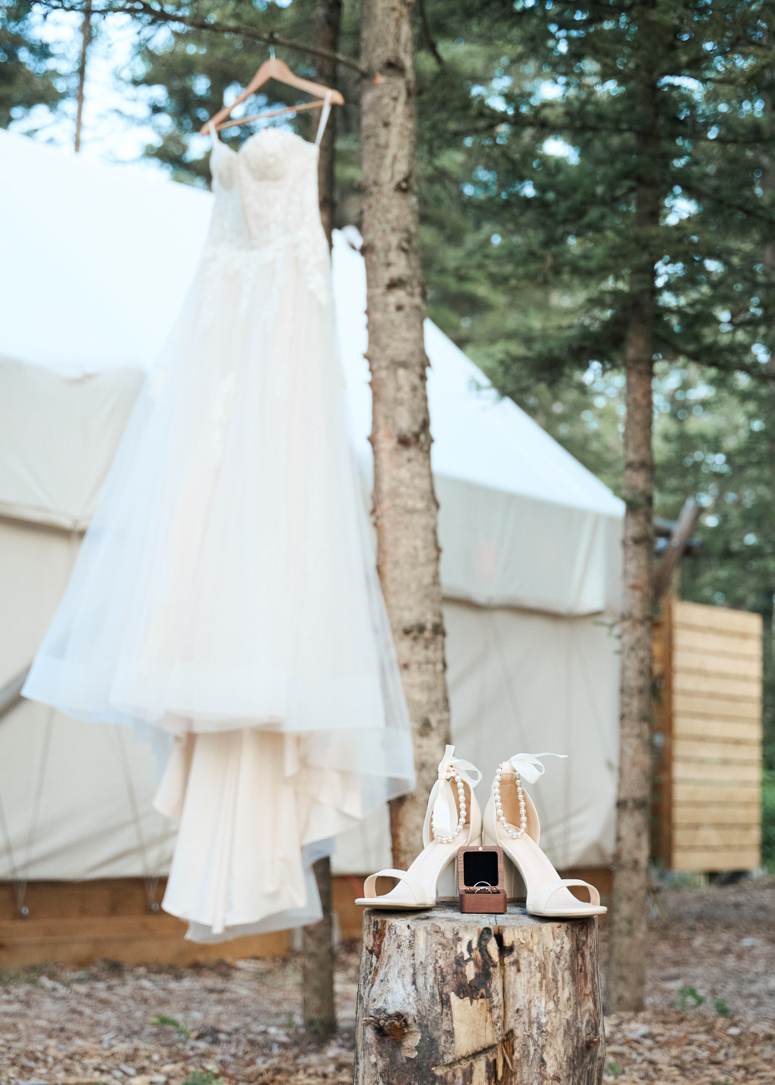 Wedding in Kananaskis Park. Wedding photography and videography team