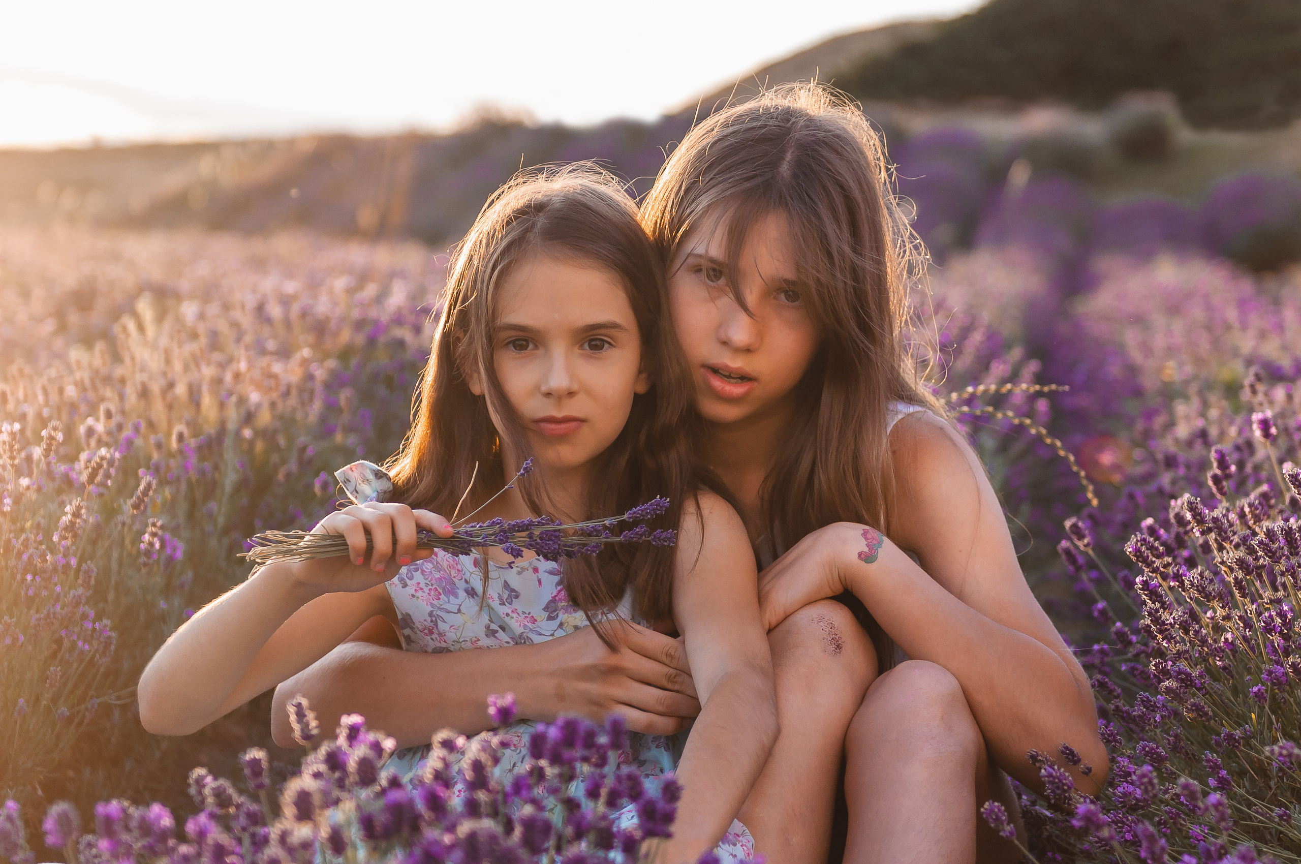 Photoshoot for a large family in the lavender field. Wedding photography and videography team