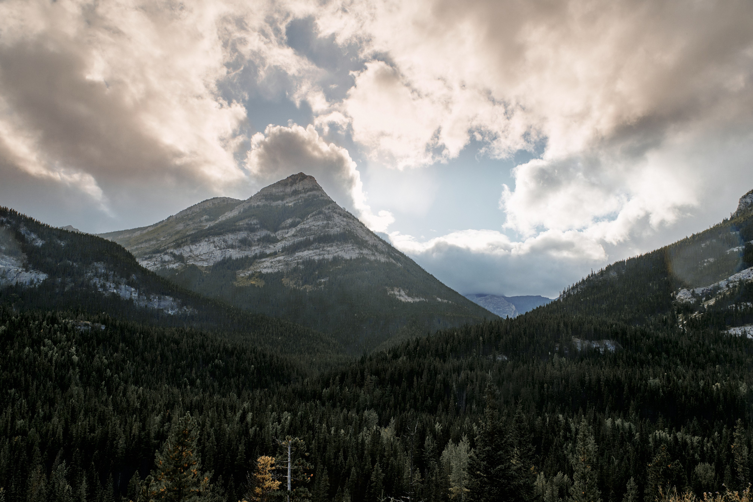 Wedding in Kananaskis Park. Wedding photography and videography team