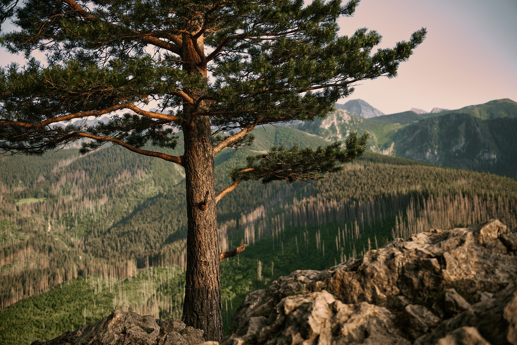Wedding in mountains. Wedding photography and videography team