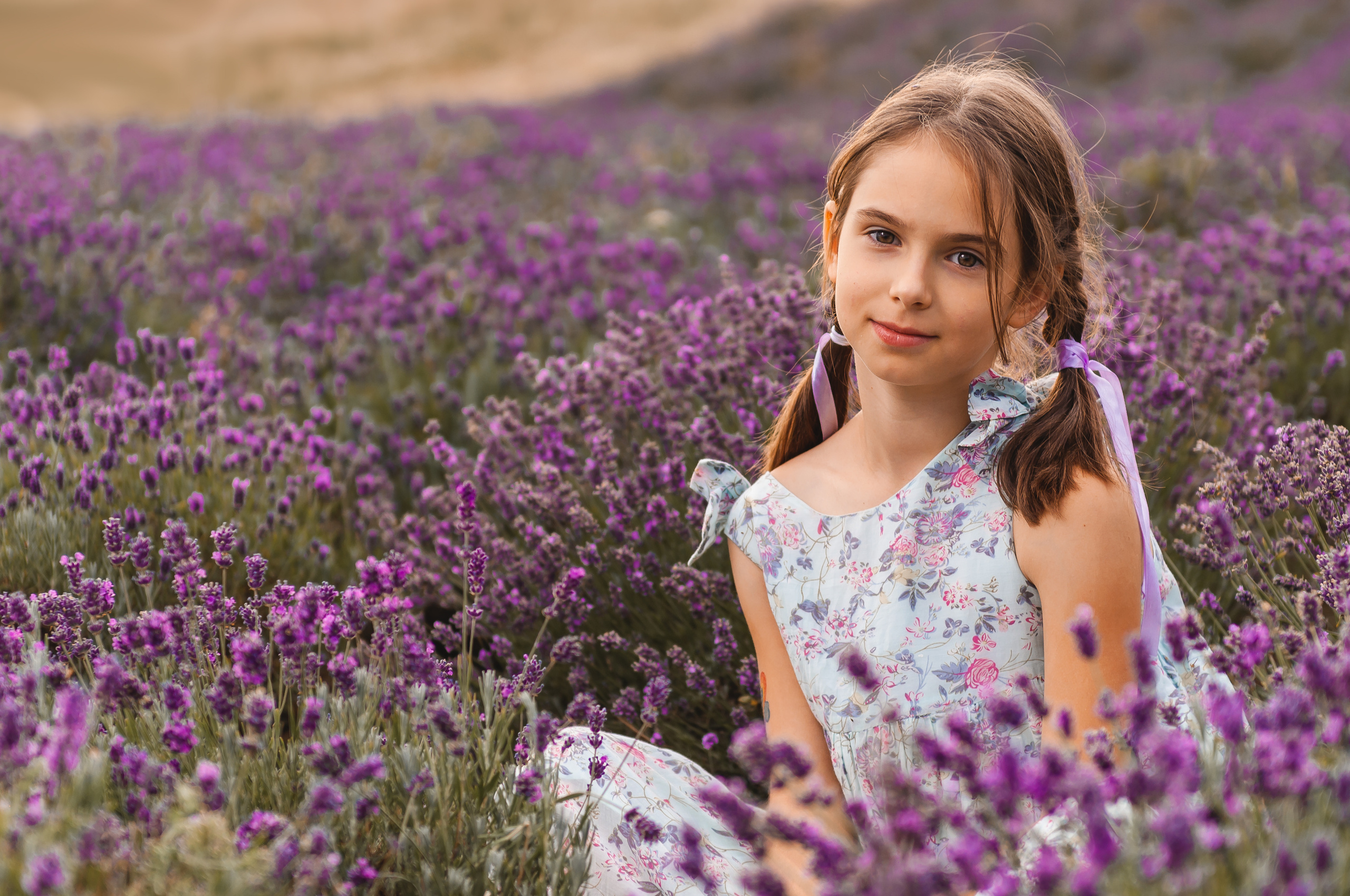 Photoshoot for a large family in the lavender field. Wedding photography and videography team