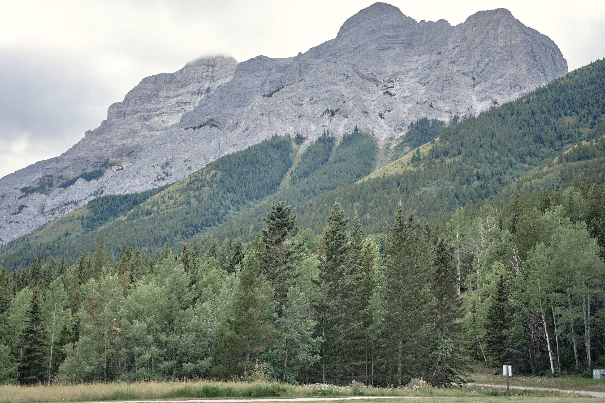 Wedding in Kananaskis Park. Wedding photography and videography team