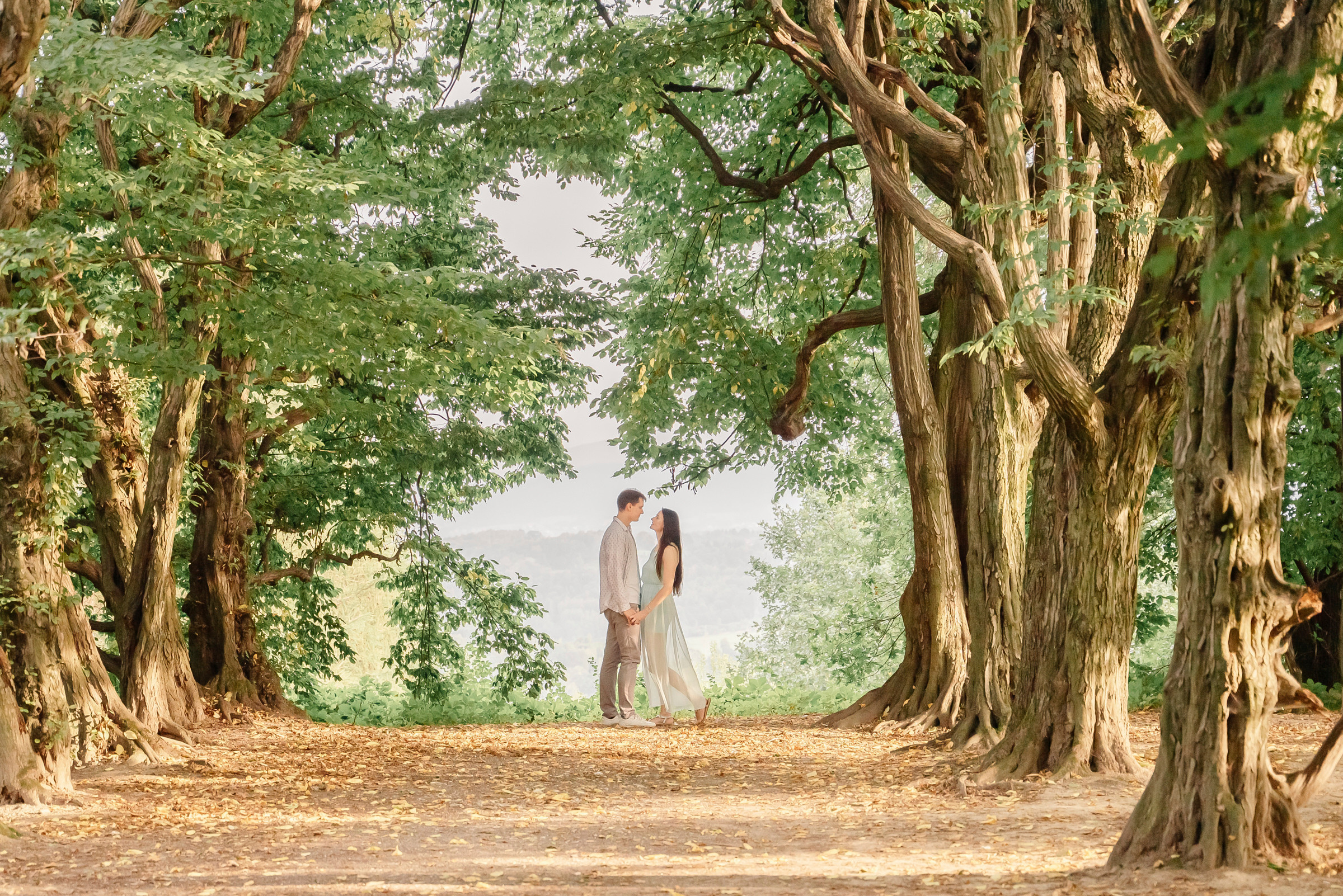 Engagement. Wedding photography and videography team