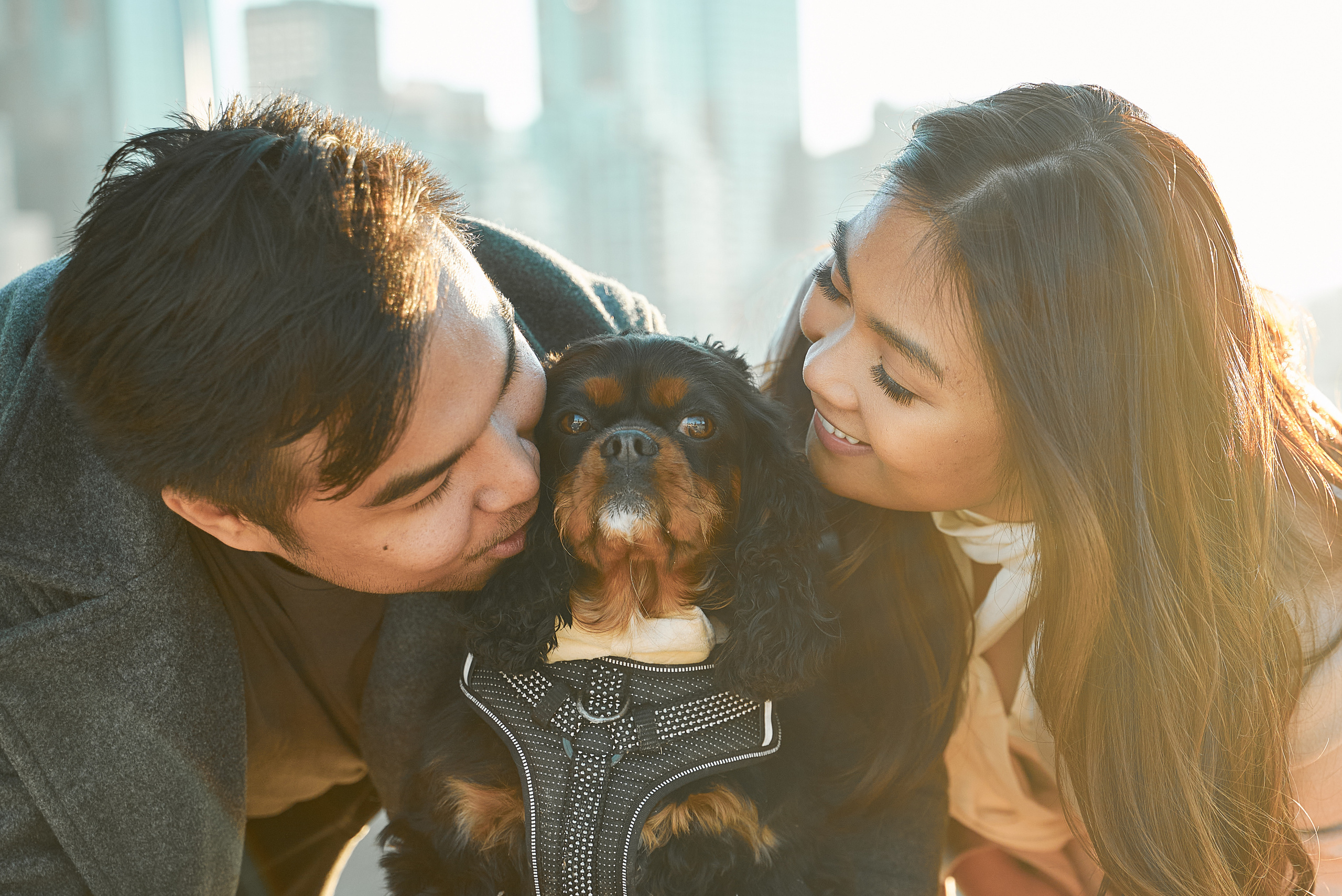 Engagement photoshoot in Calgary. Wedding photography and videography team