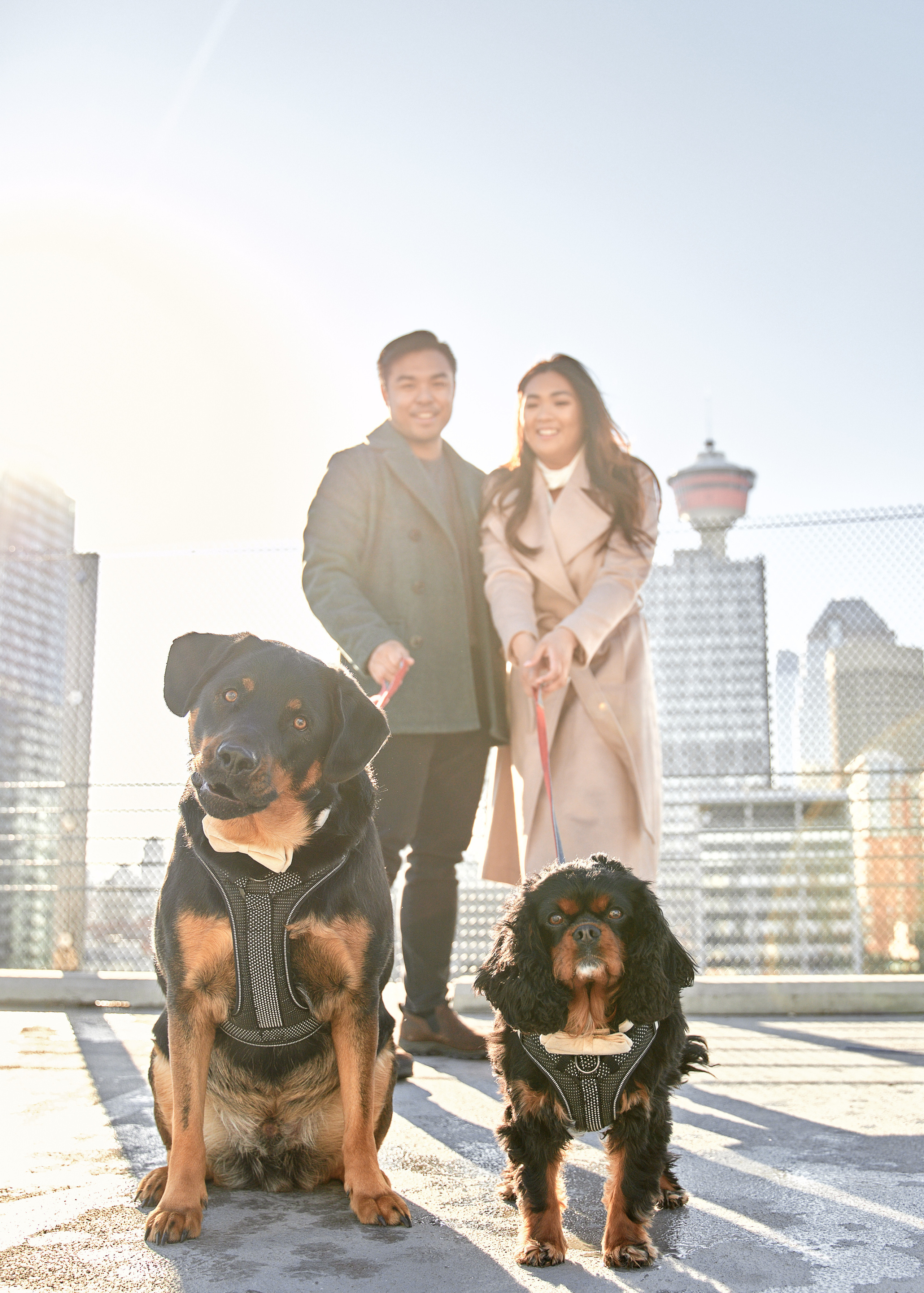 Engagement photoshoot in Calgary. Wedding photography and videography team