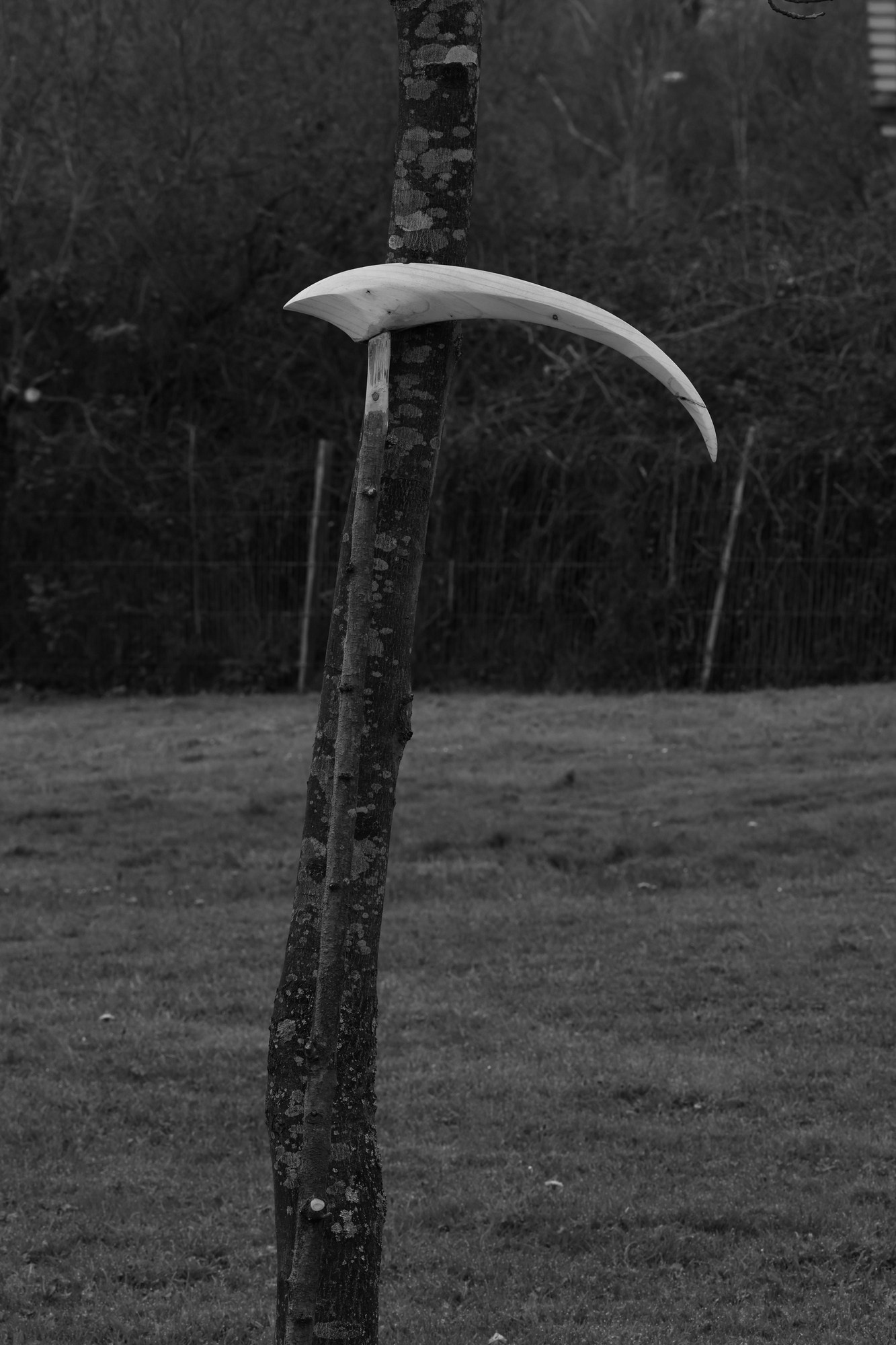 Siguen caminando dentro de mi corazón. Alicia: fotografía artística y escritura creativa en Asturias