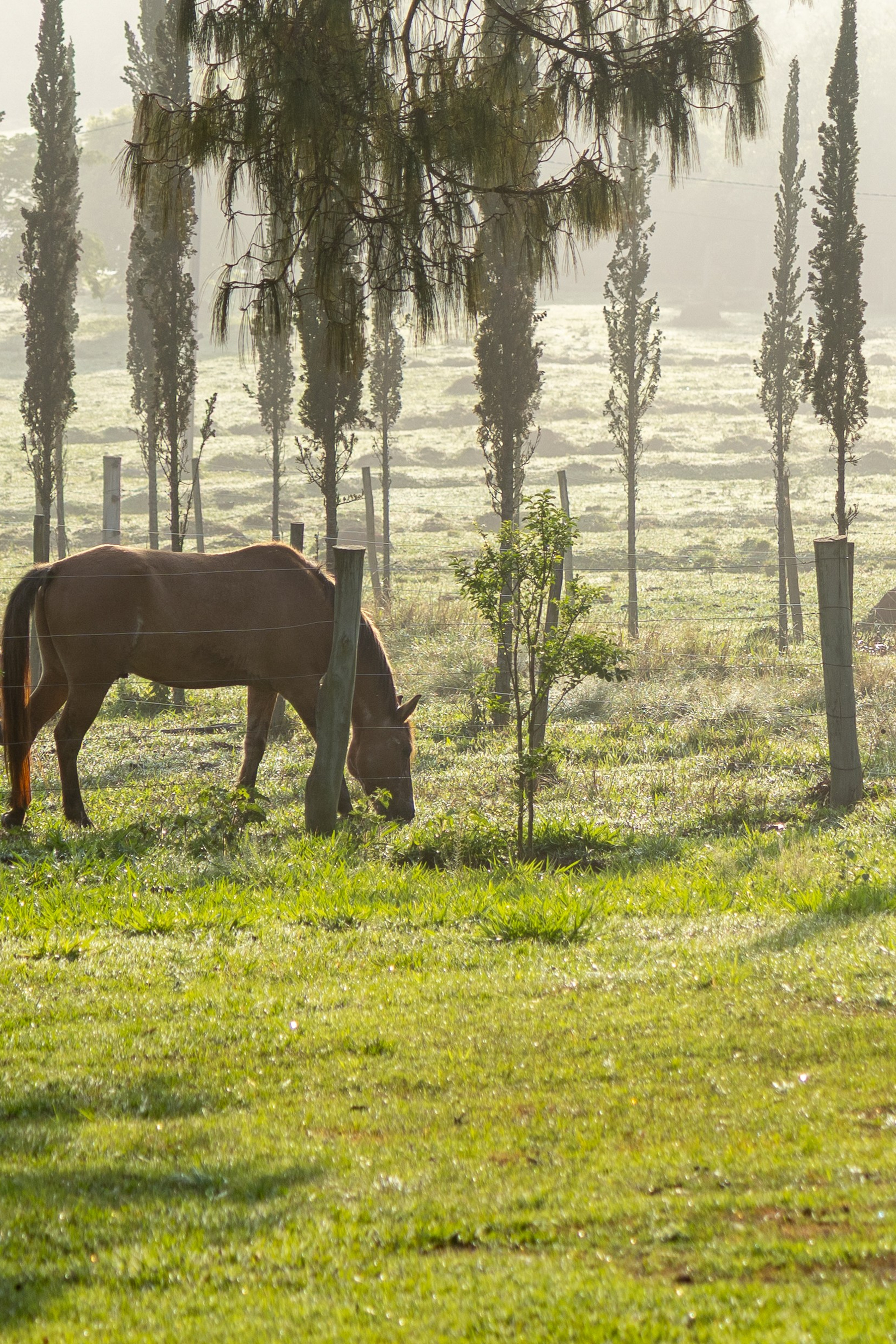 Paisagens